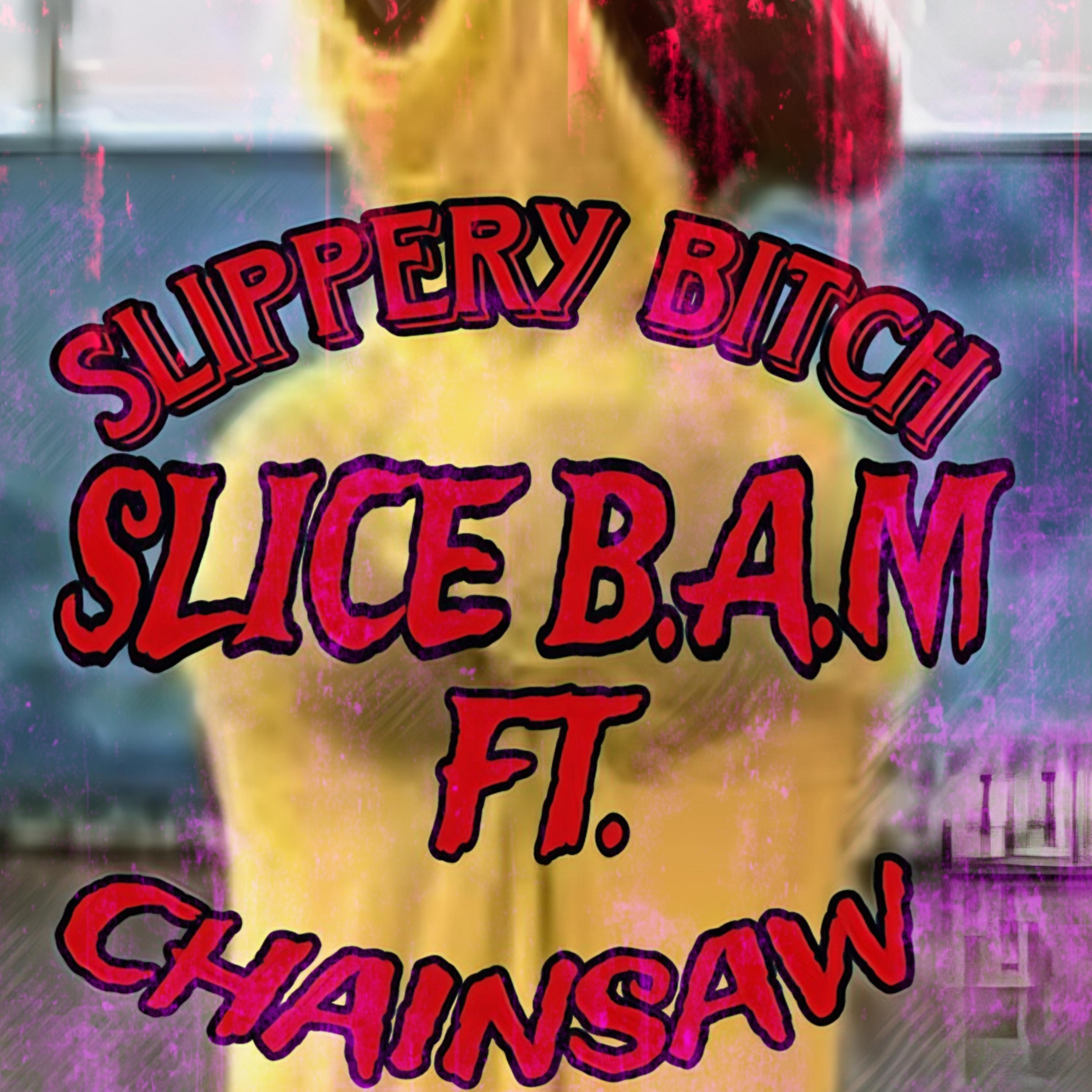 SLIPPERY  BITCH artwork