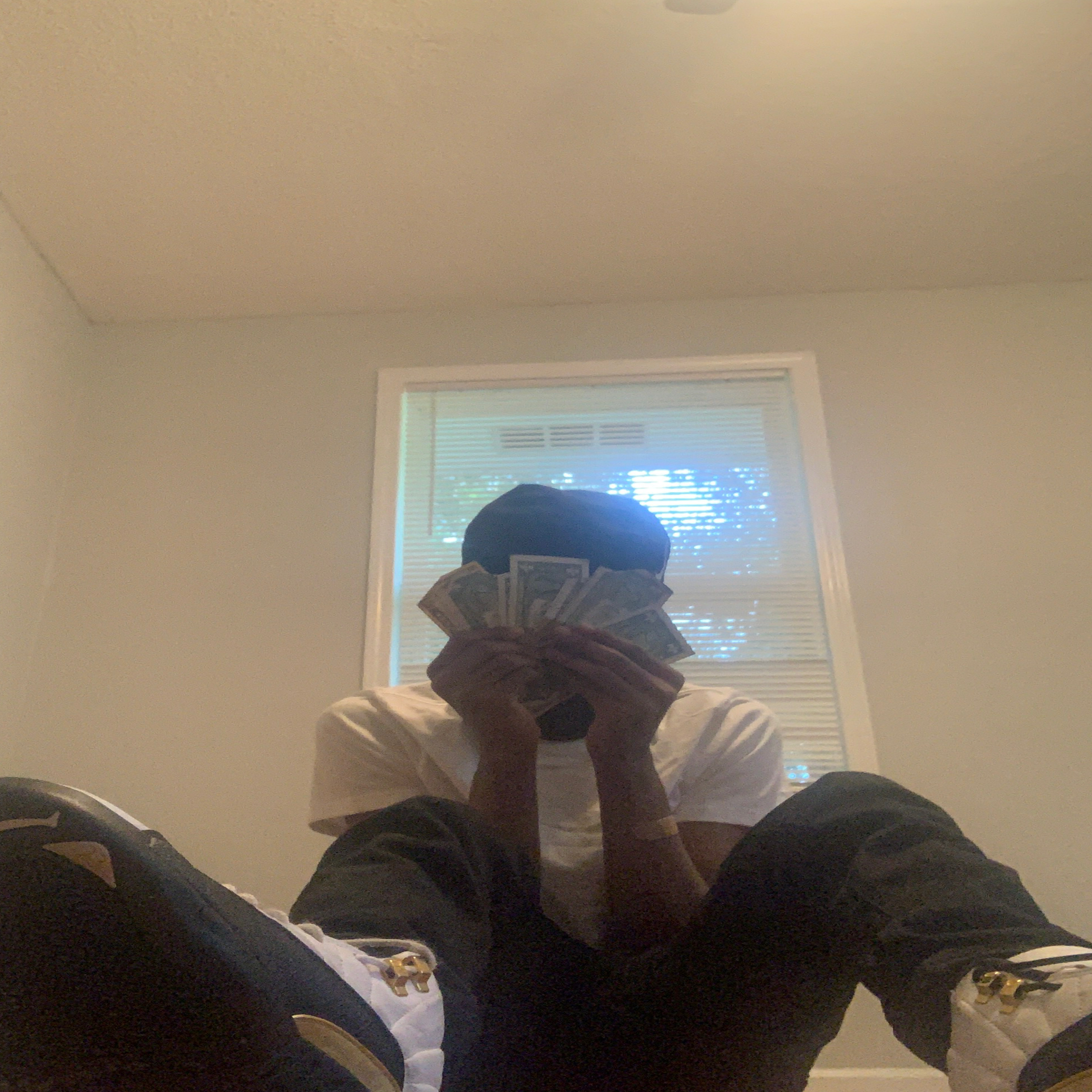 Fox 13 (Fatslime Diss) artwork