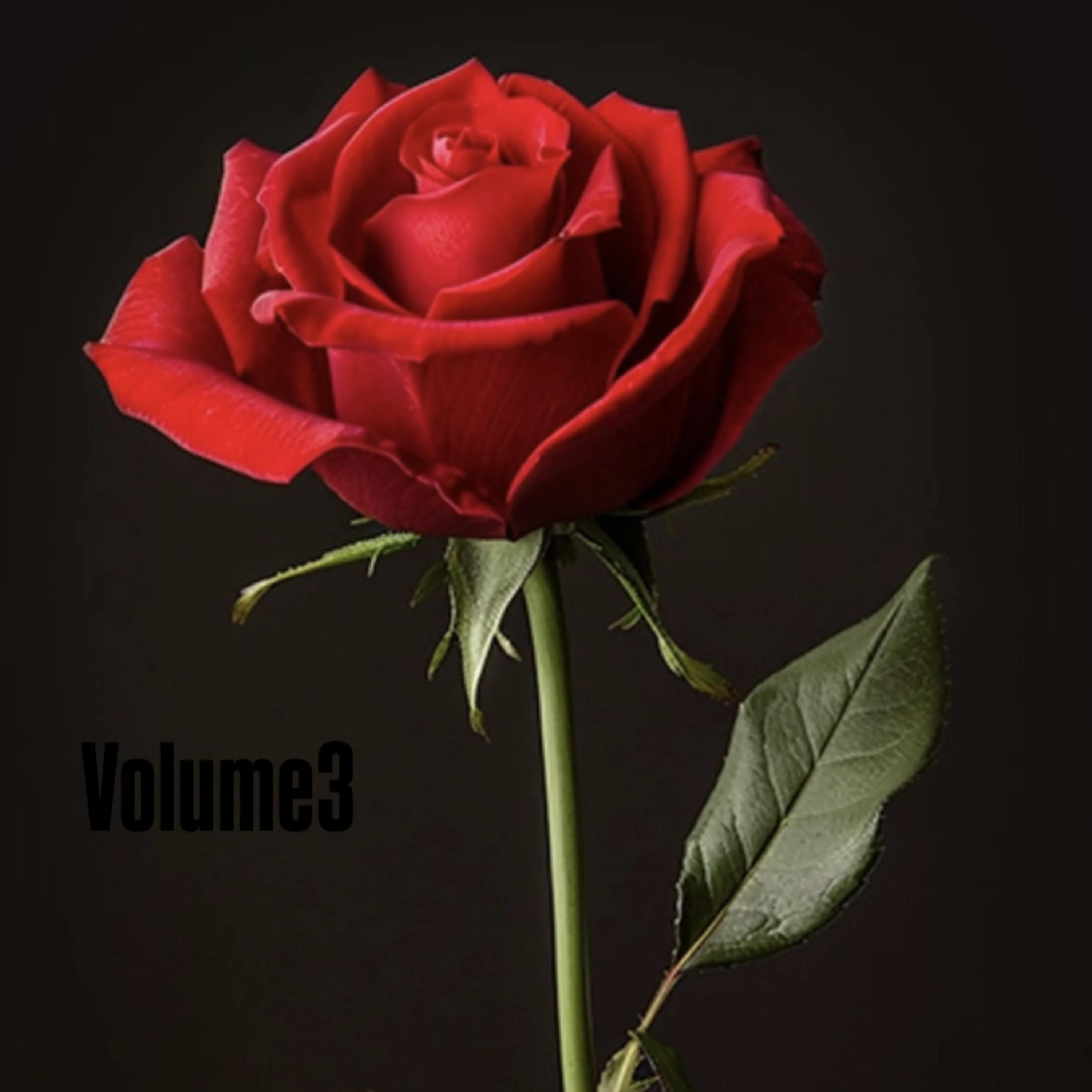 Volume3 by Sken cover art