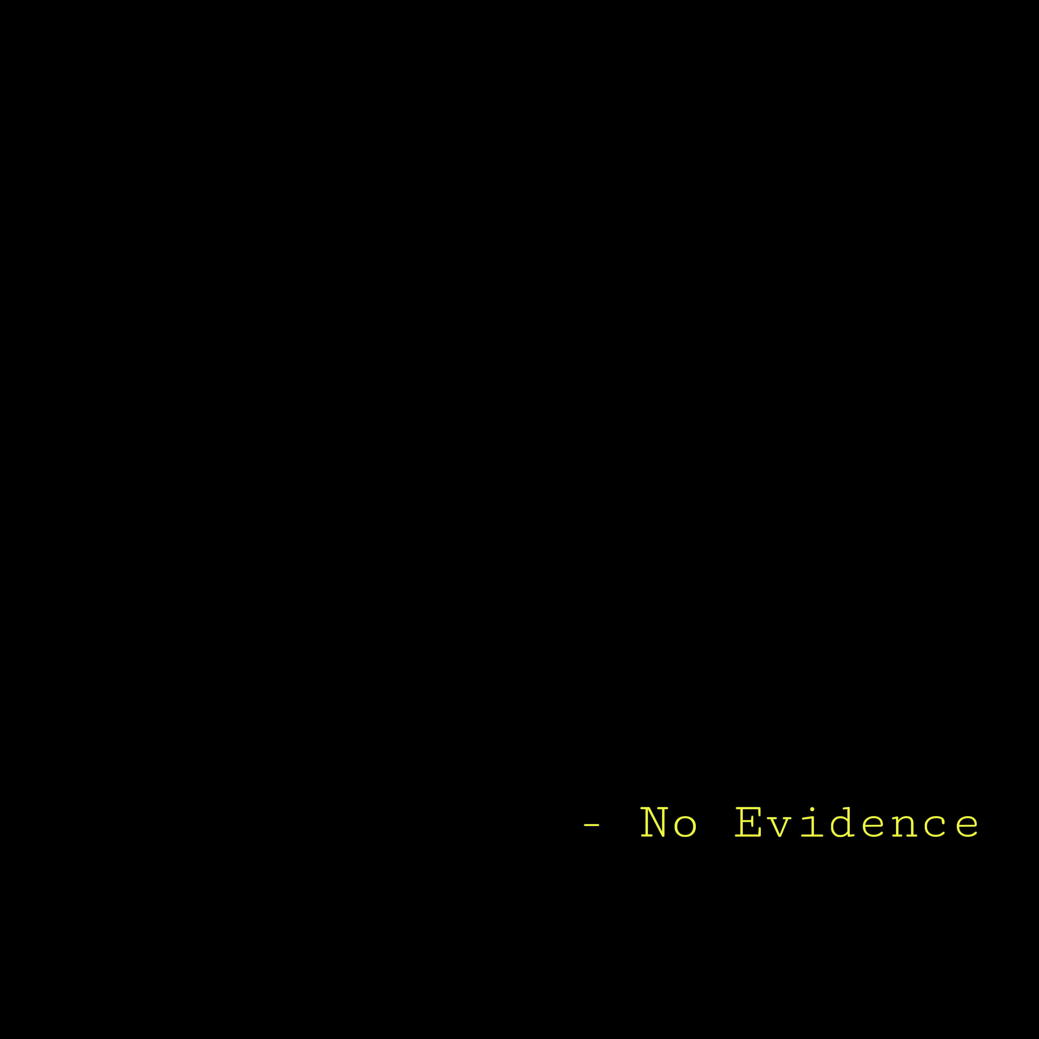 No Evidence artwork