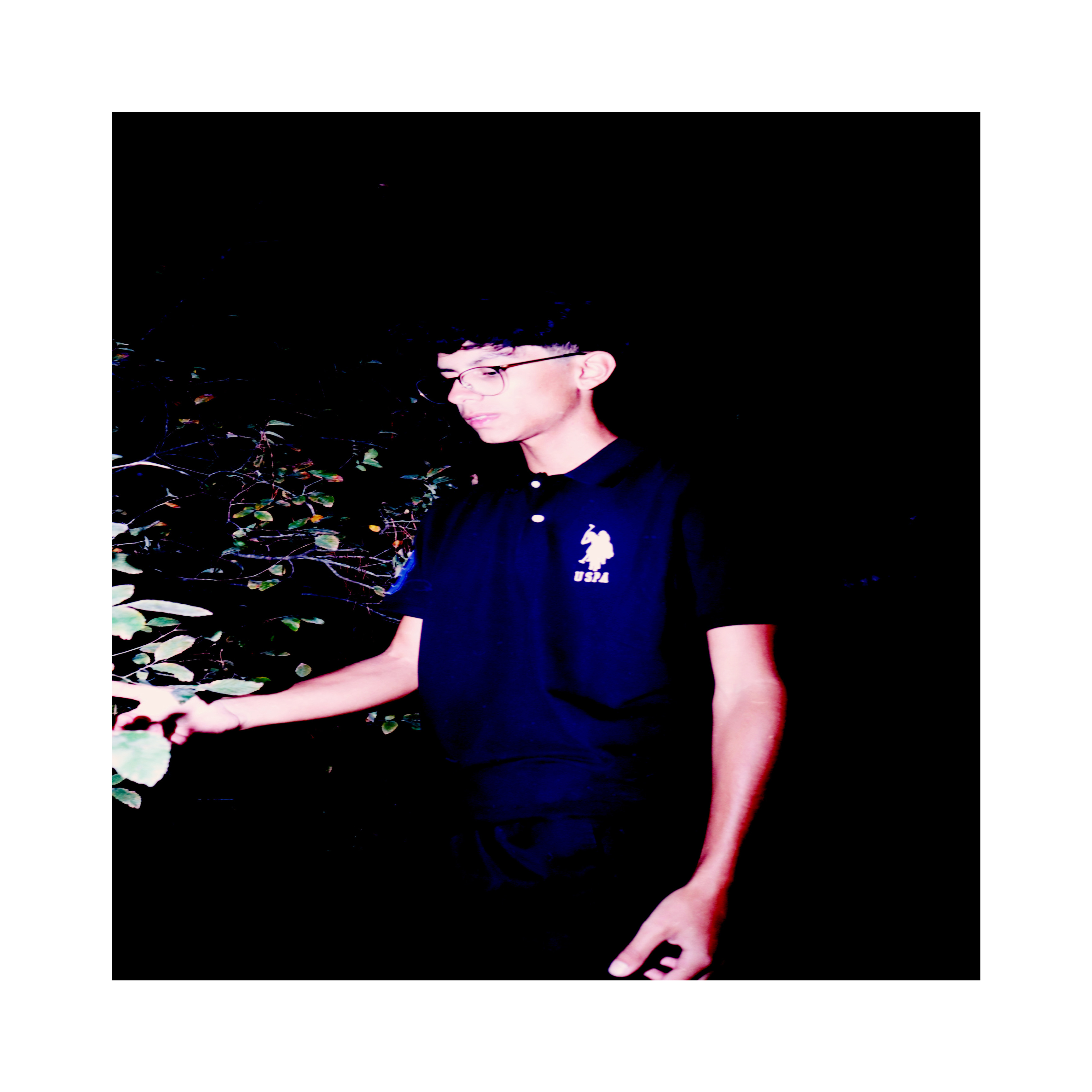 chauffeur artwork