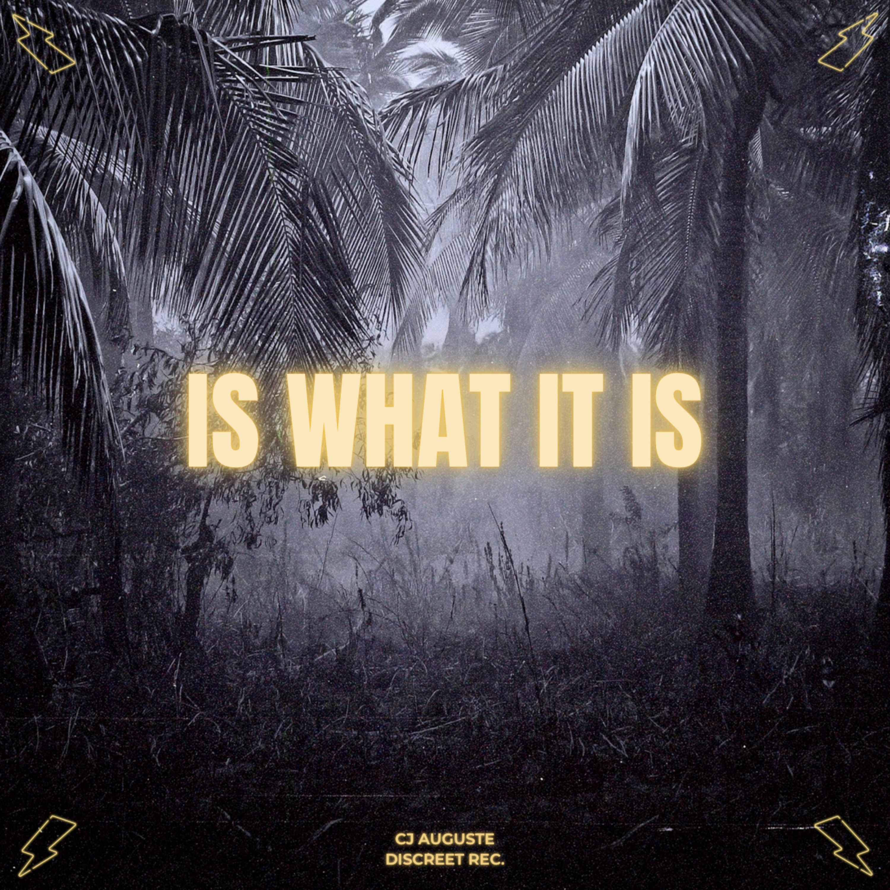 Is What It Is artwork