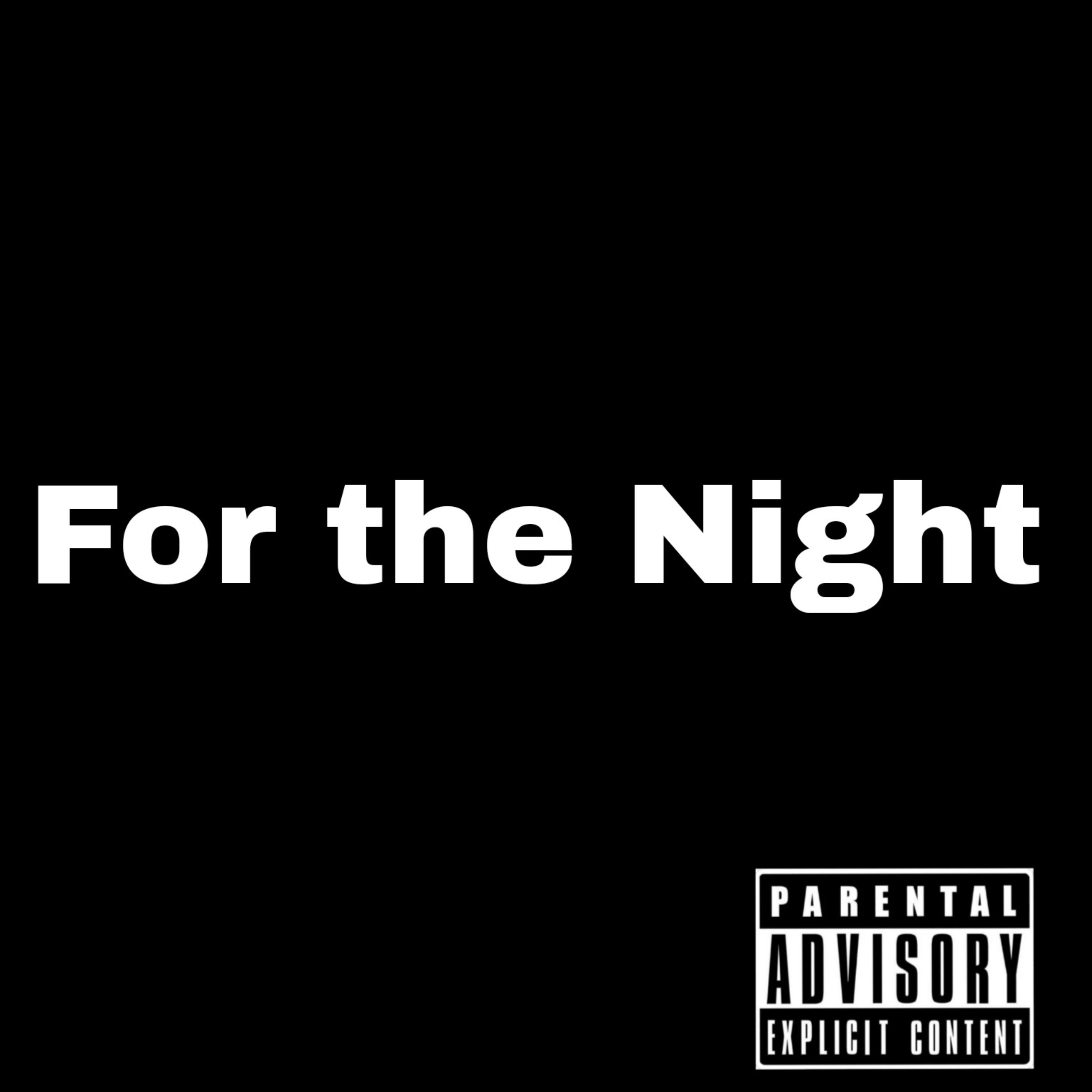For The Night artwork