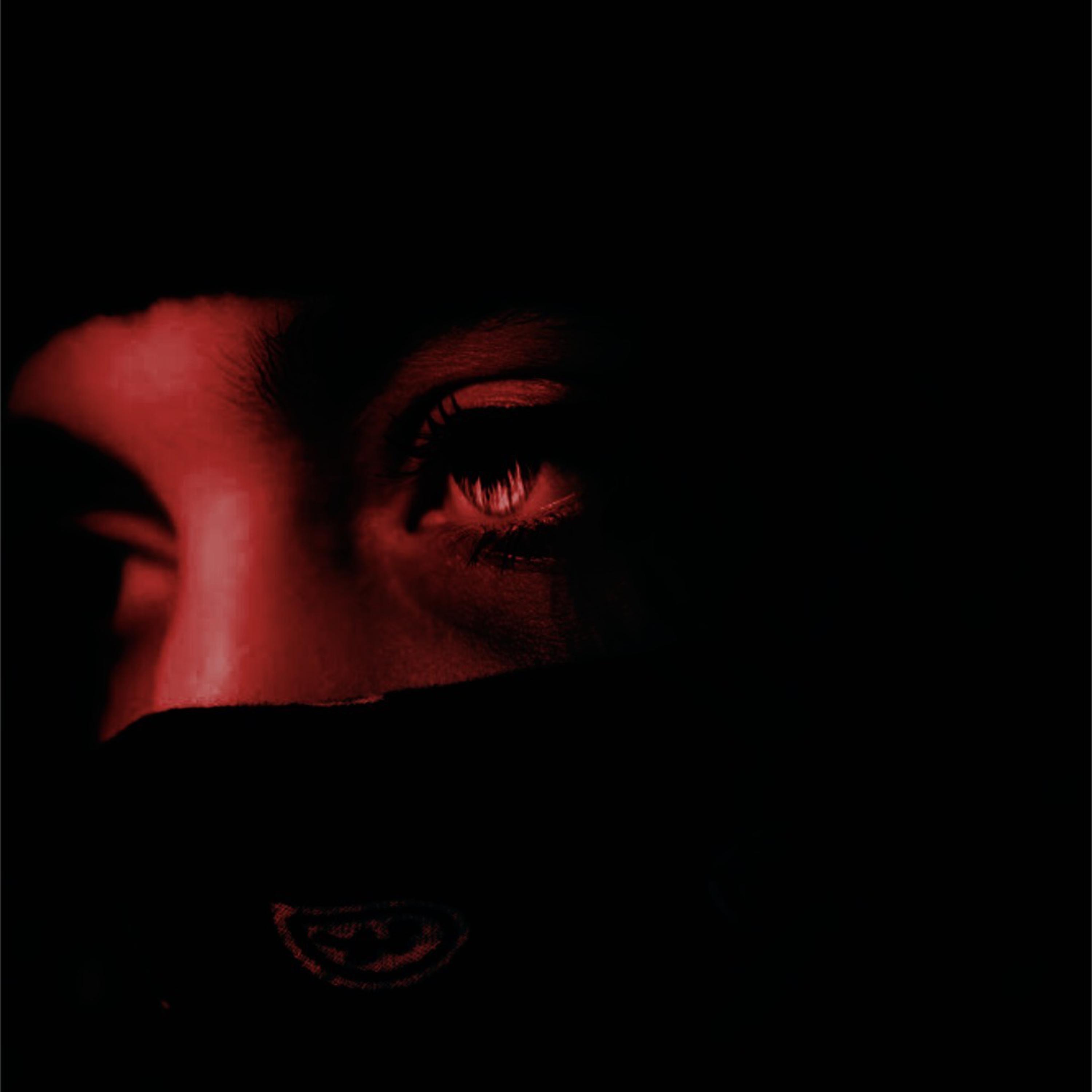 Beautiful Nightmares artwork