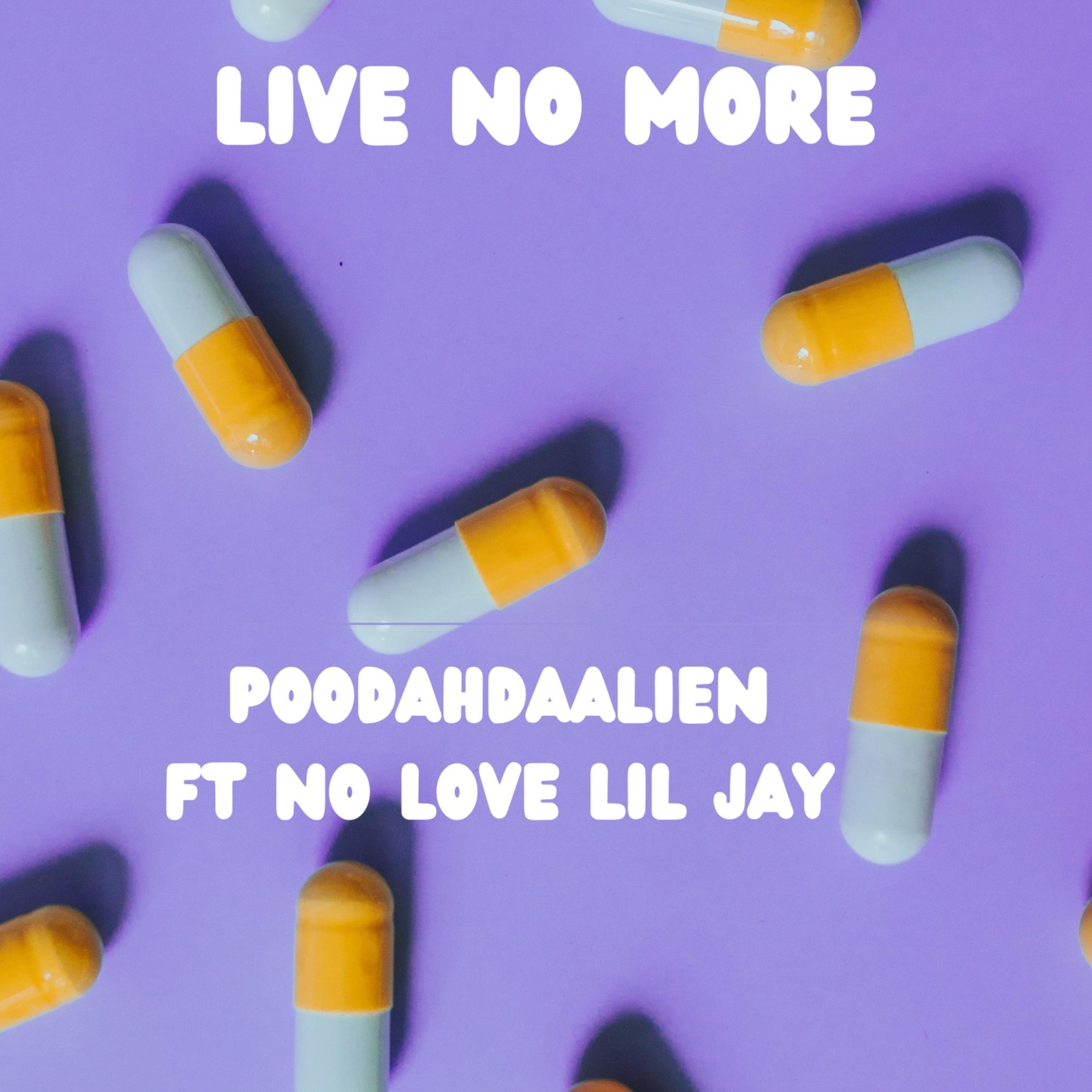 Live No More artwork