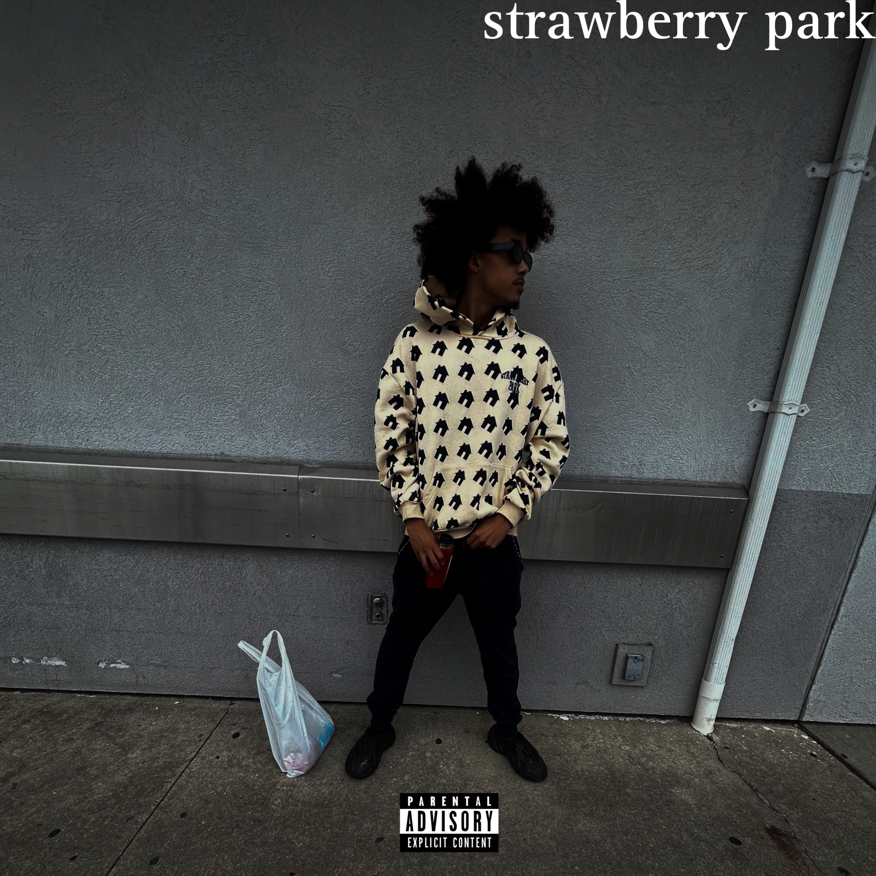 strawberry park artwork