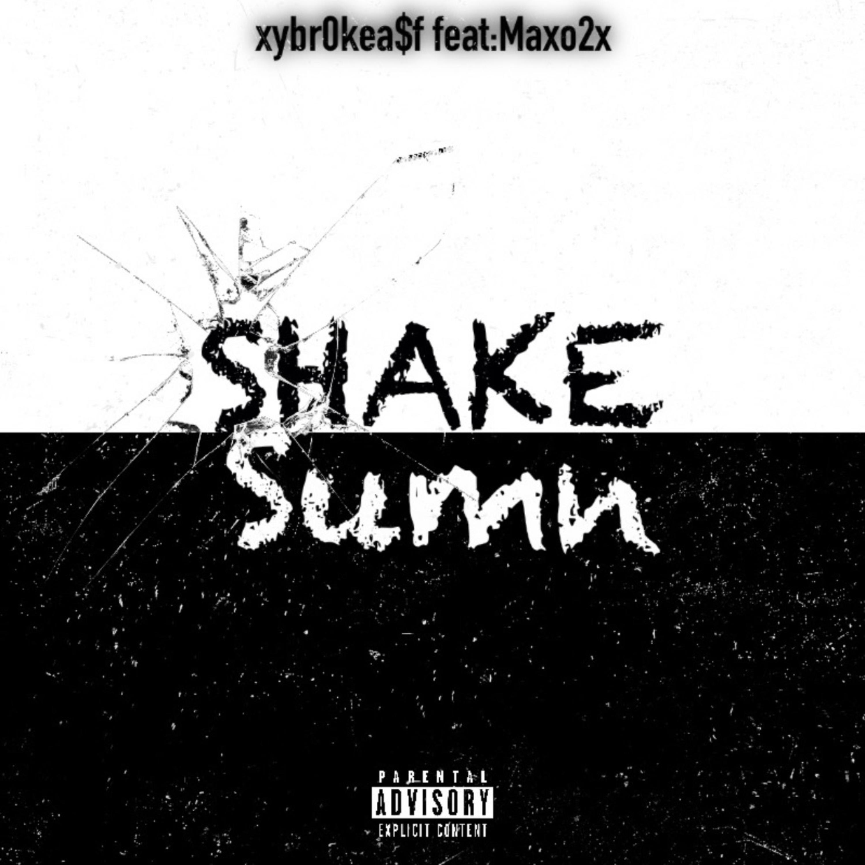 Shake Sumn artwork