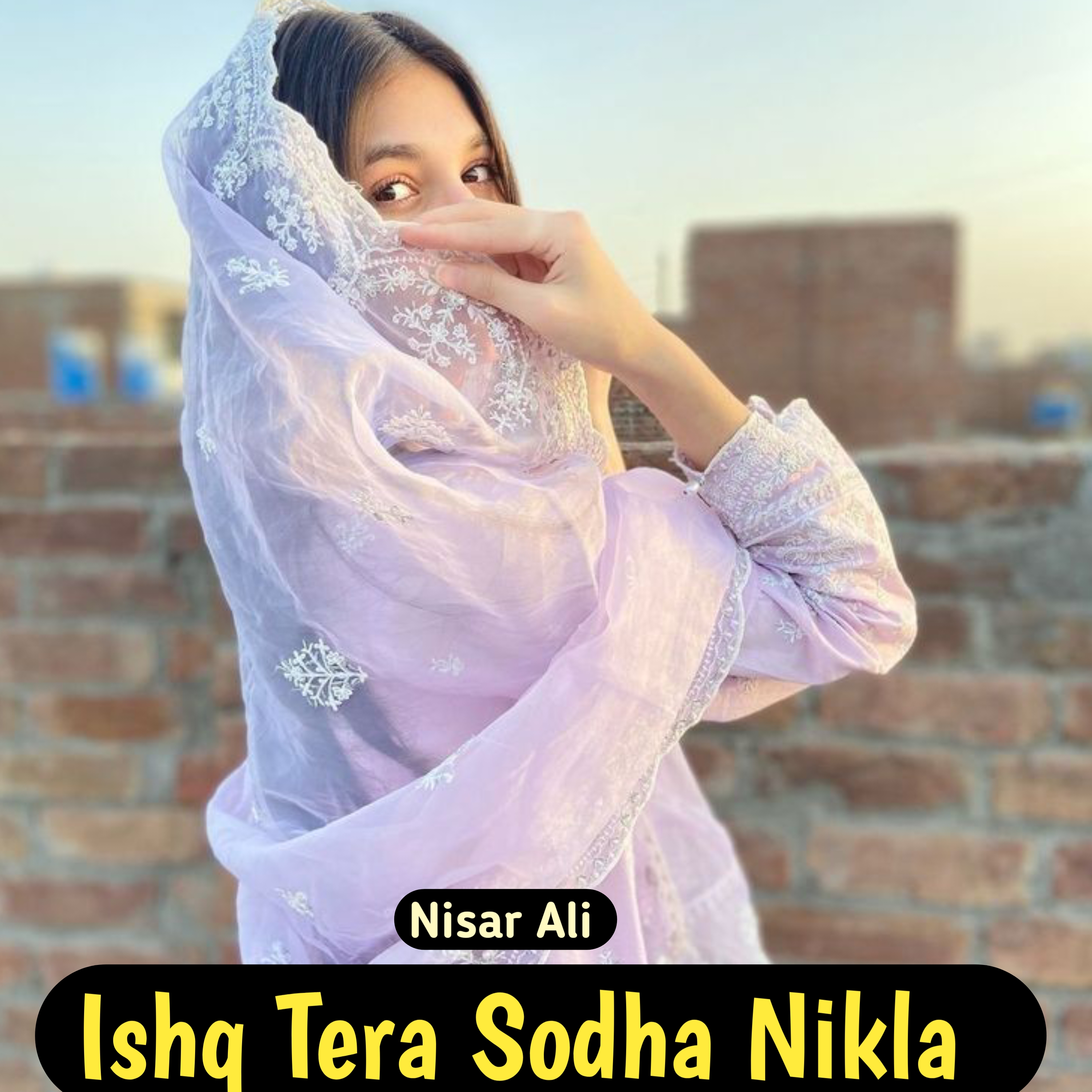 Ishq Tera Sodha Nikla artwork