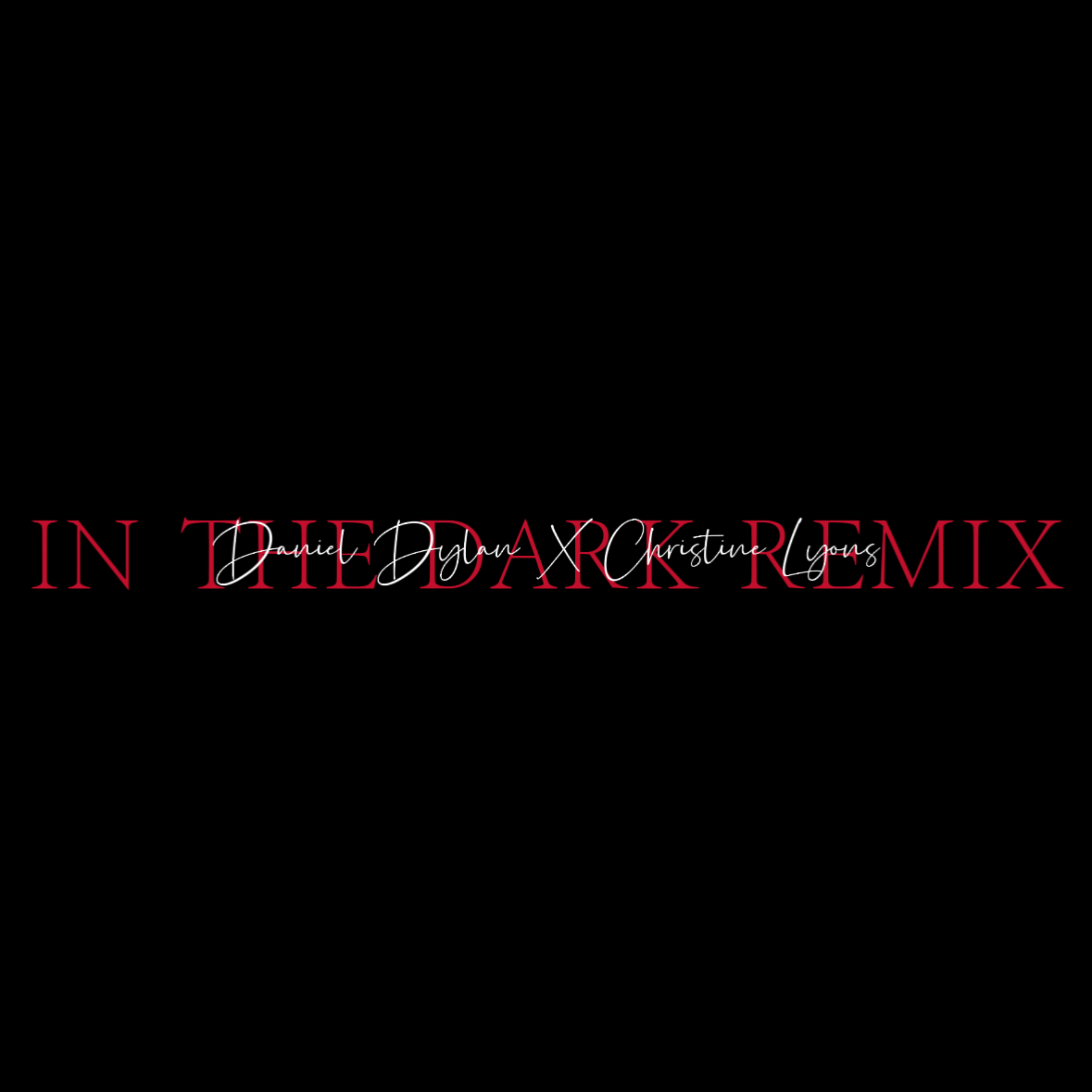 In The Dark (Remix) artwork