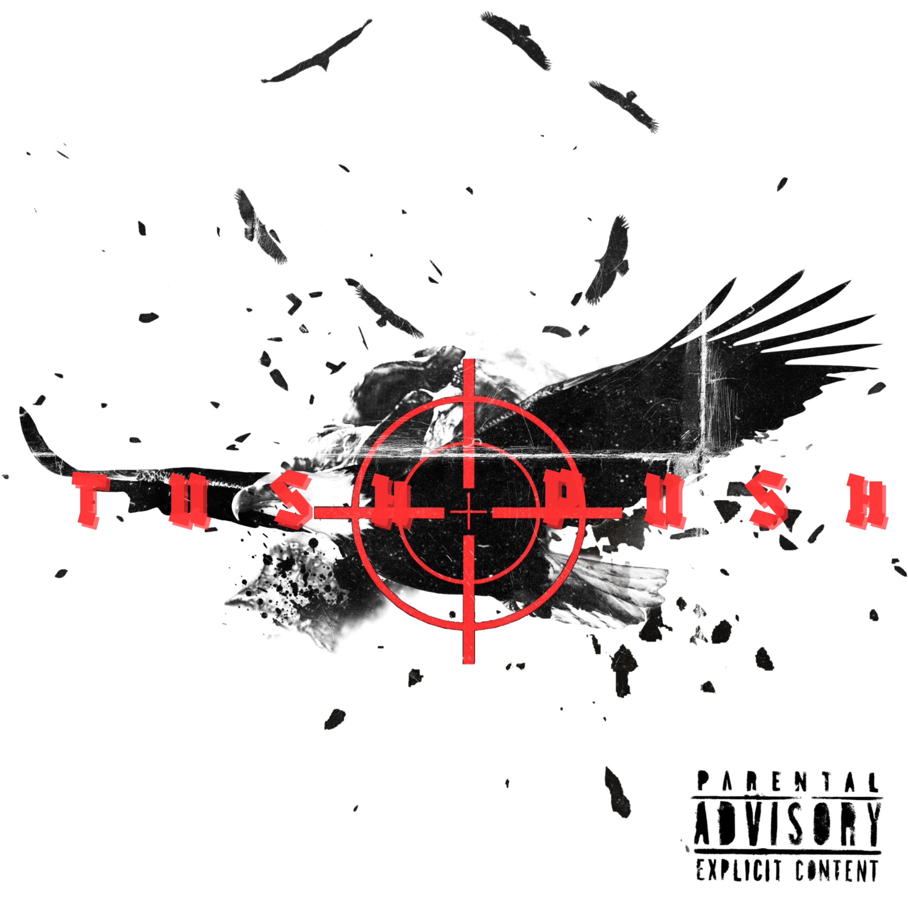 Tush Push artwork