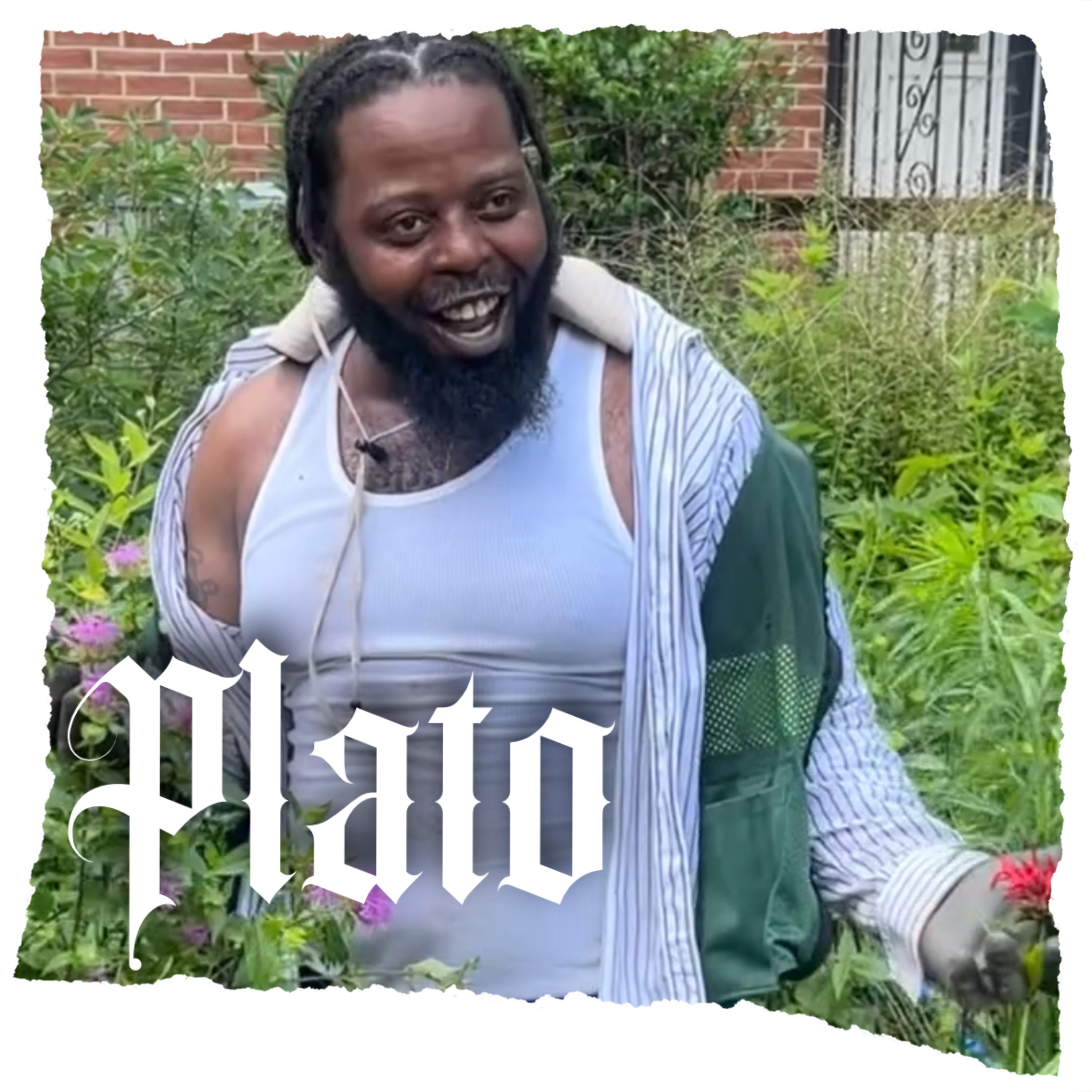 Plato artwork