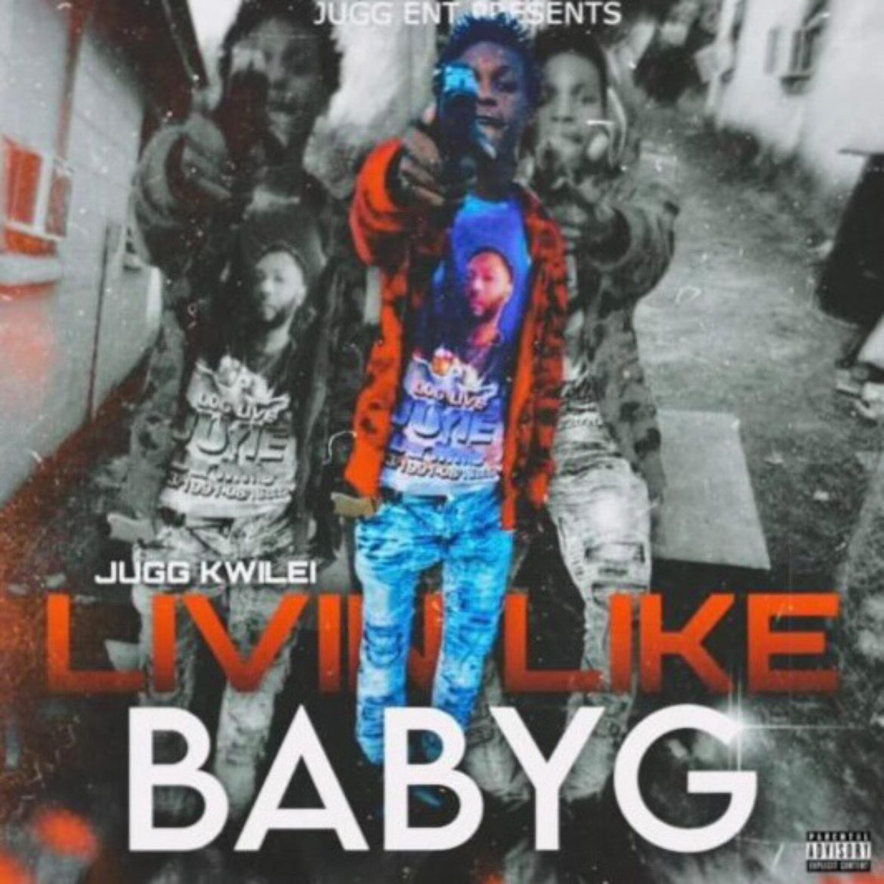 Livinlikebabyg artwork