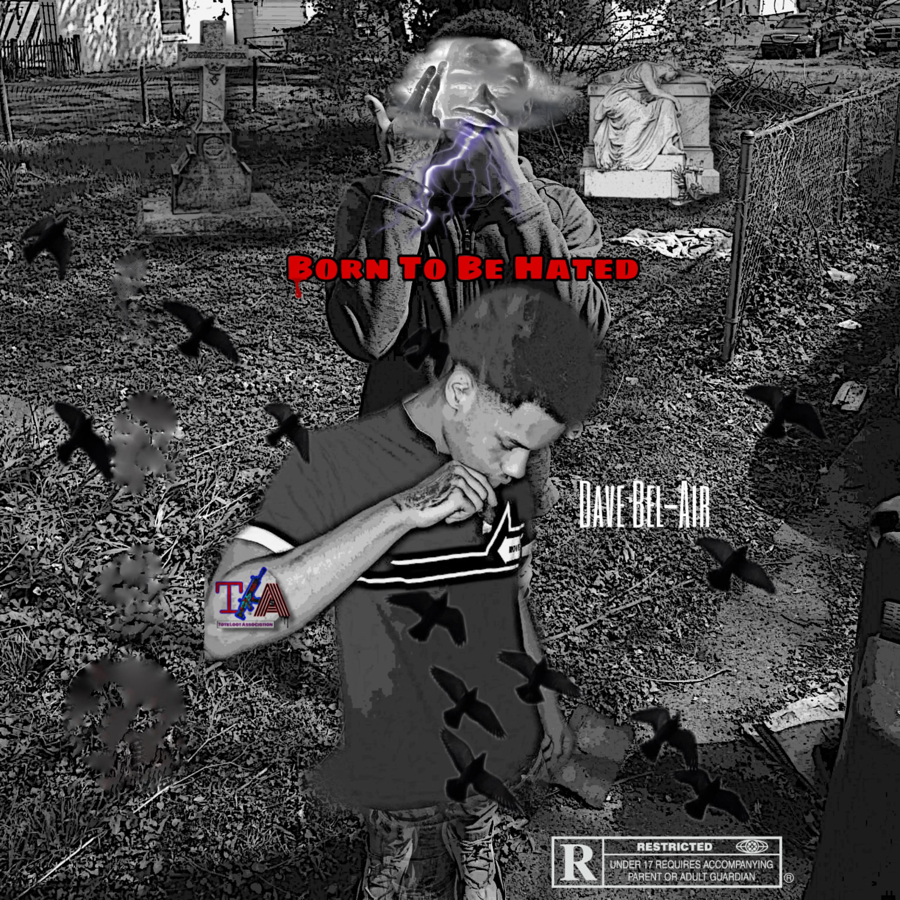 Born To Be Hated artwork