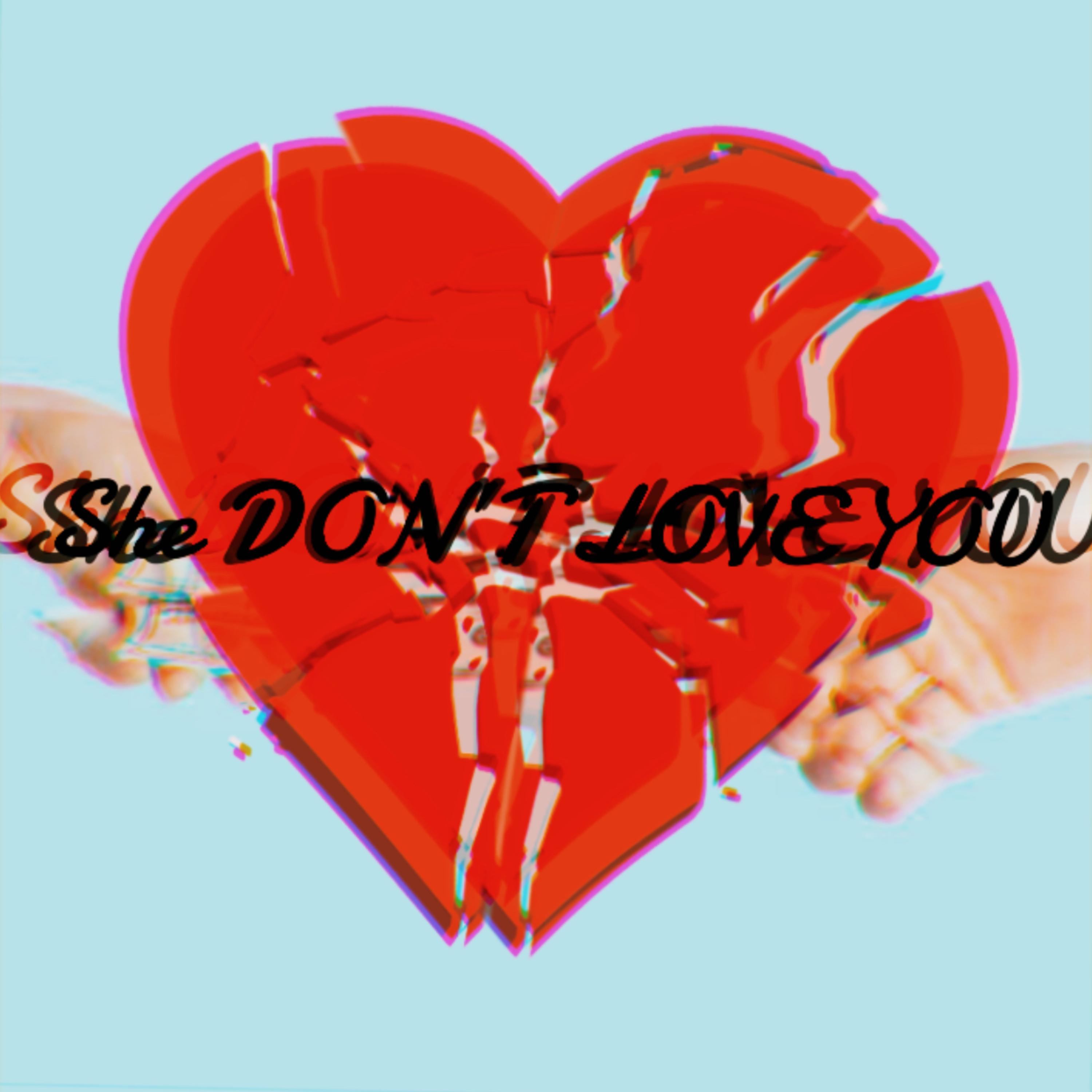 She Don’t Love You artwork