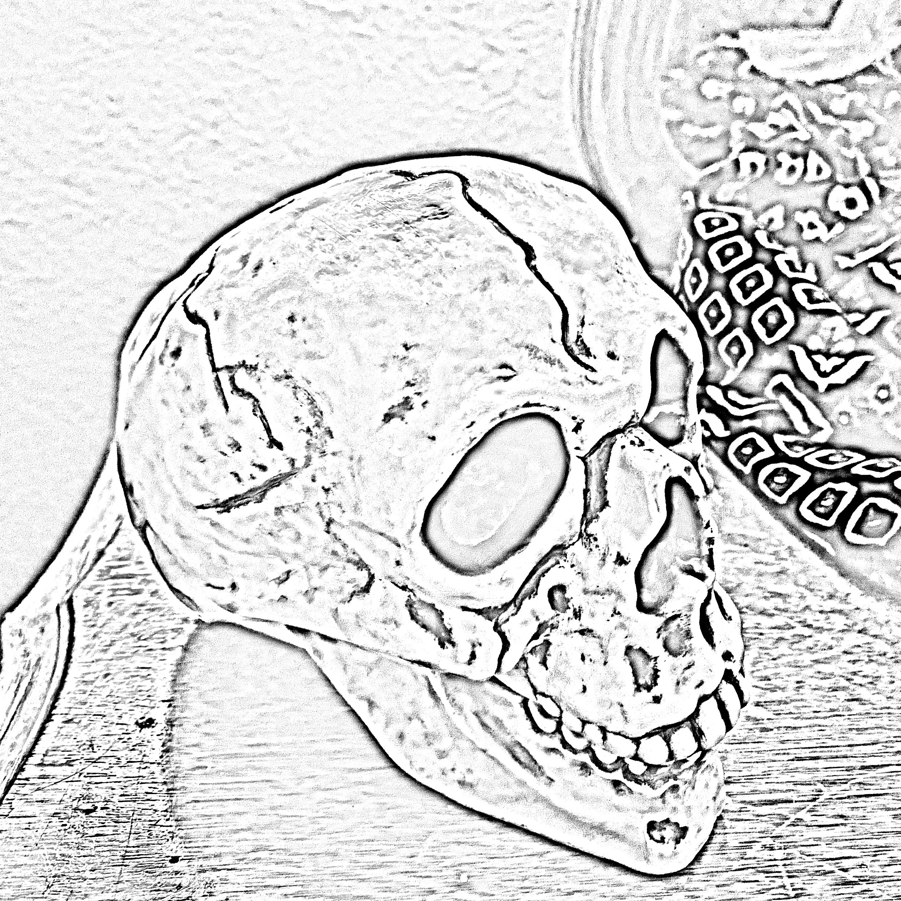 Life Is Boring artwork