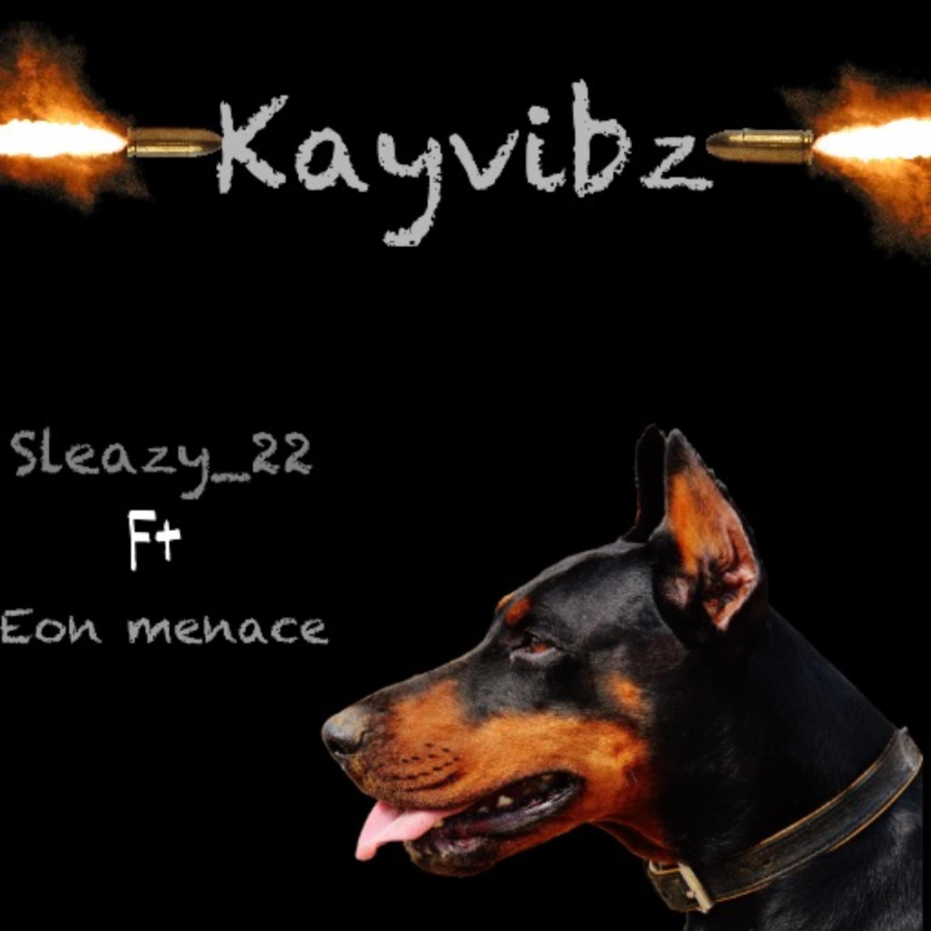 Kayvibz artwork