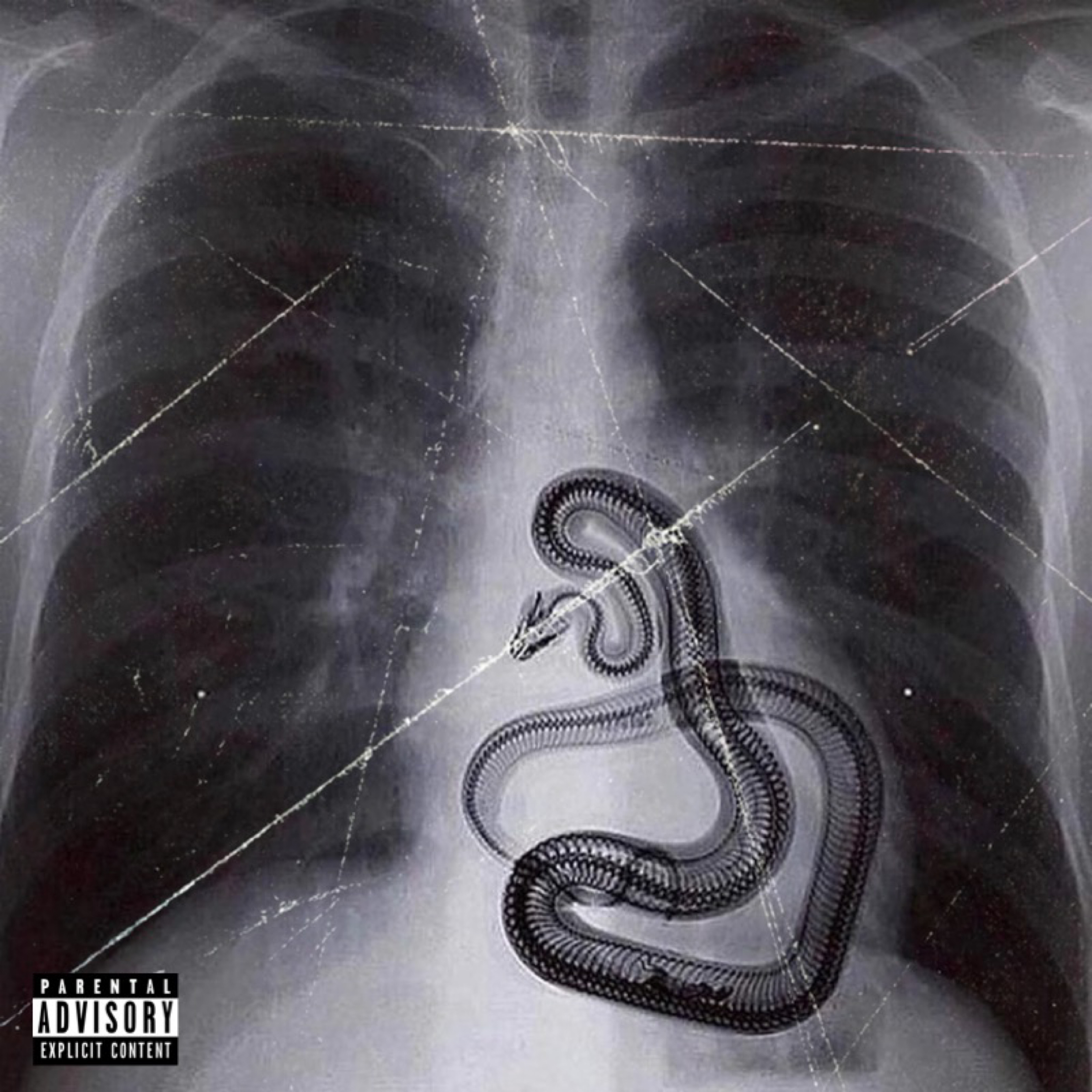 We Love You Snake by Big Snake cover art