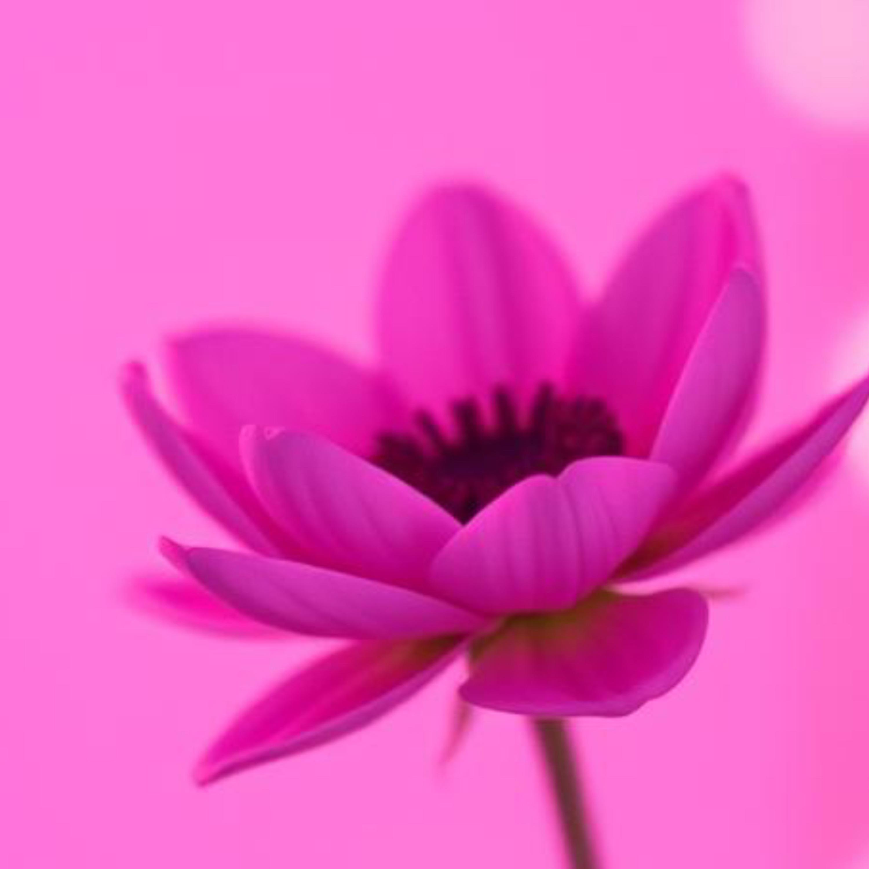 True love Is You artwork