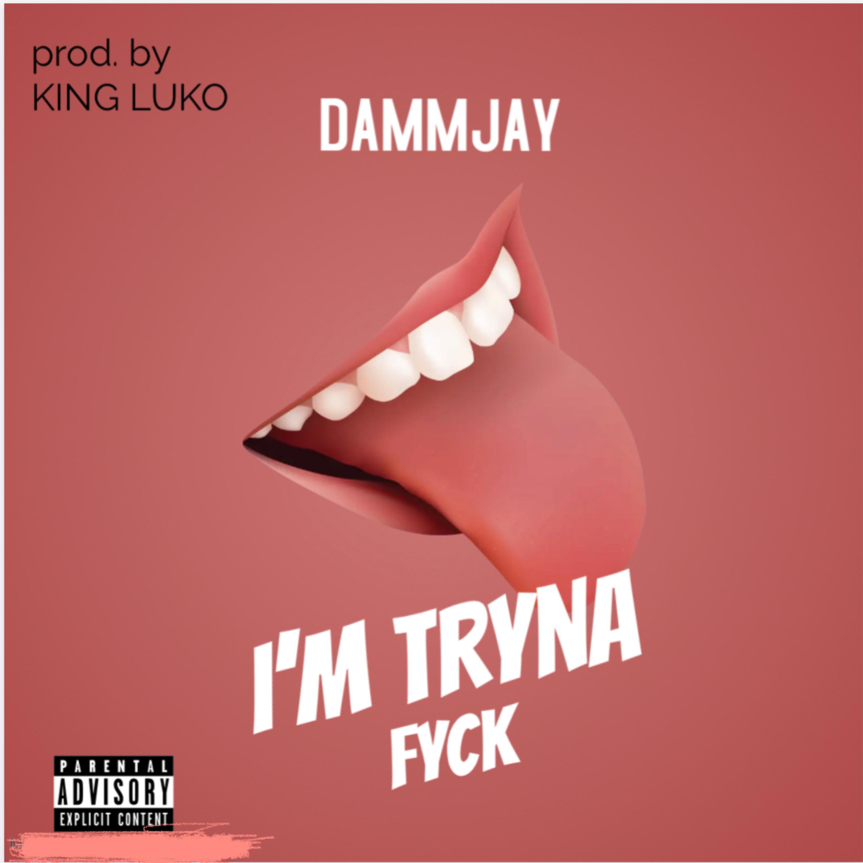 I'm Tryna Fyck artwork