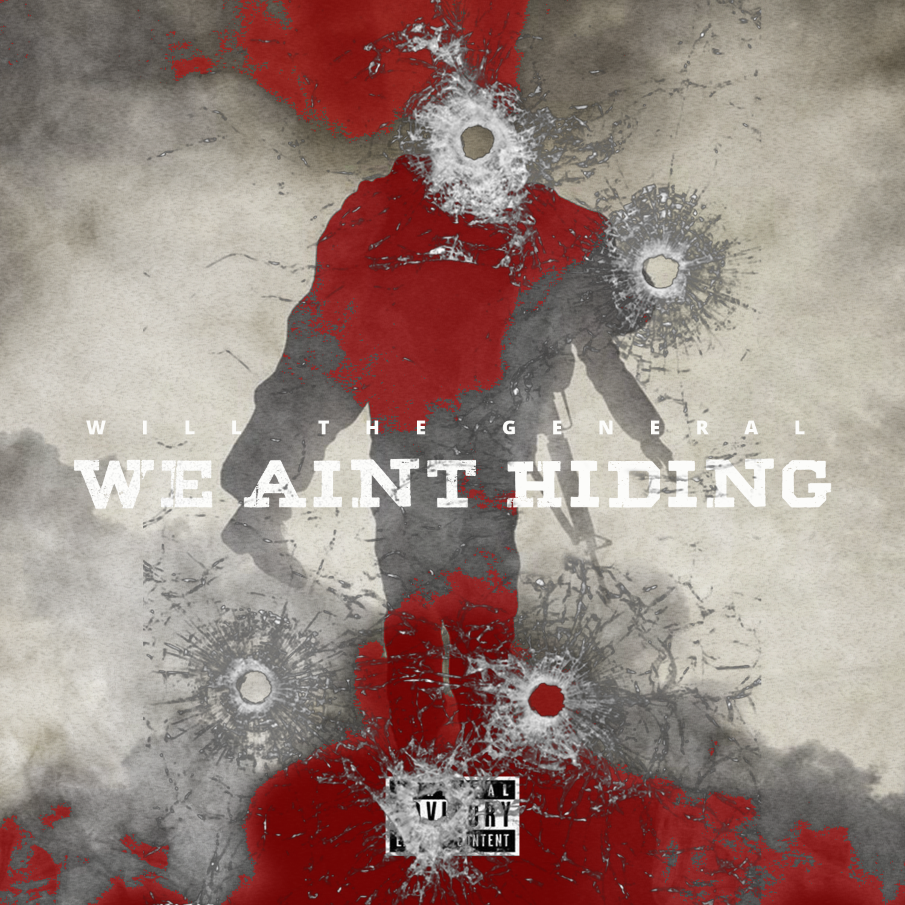 We Aint Hiding artwork