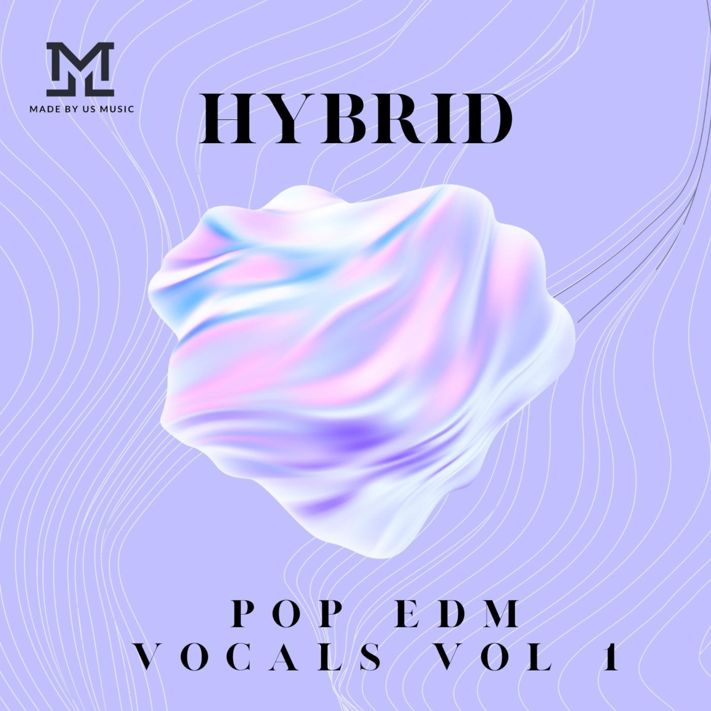 Hybrid Pop EDM Vocals Vol 1 artwork