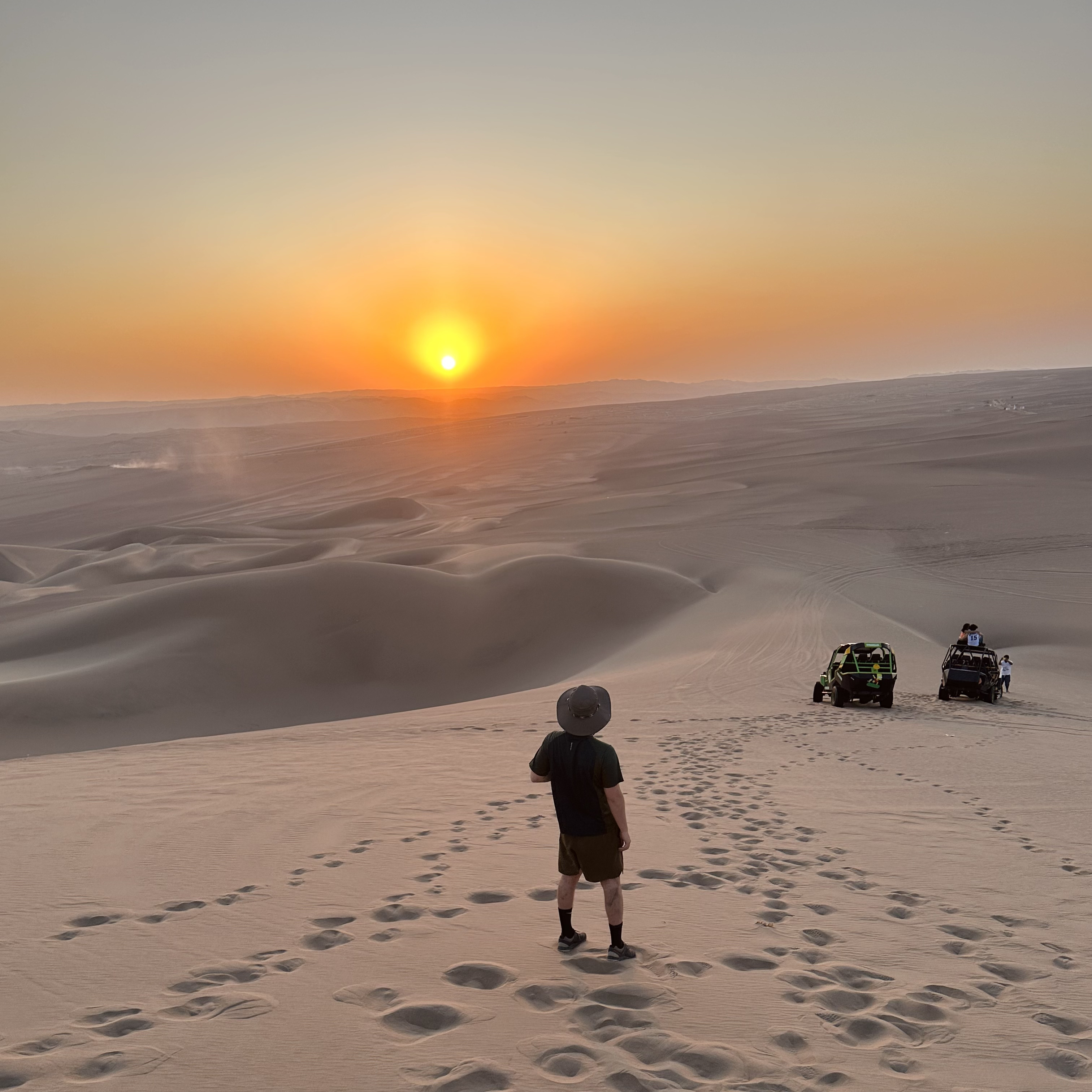 i'm losing my mind artwork