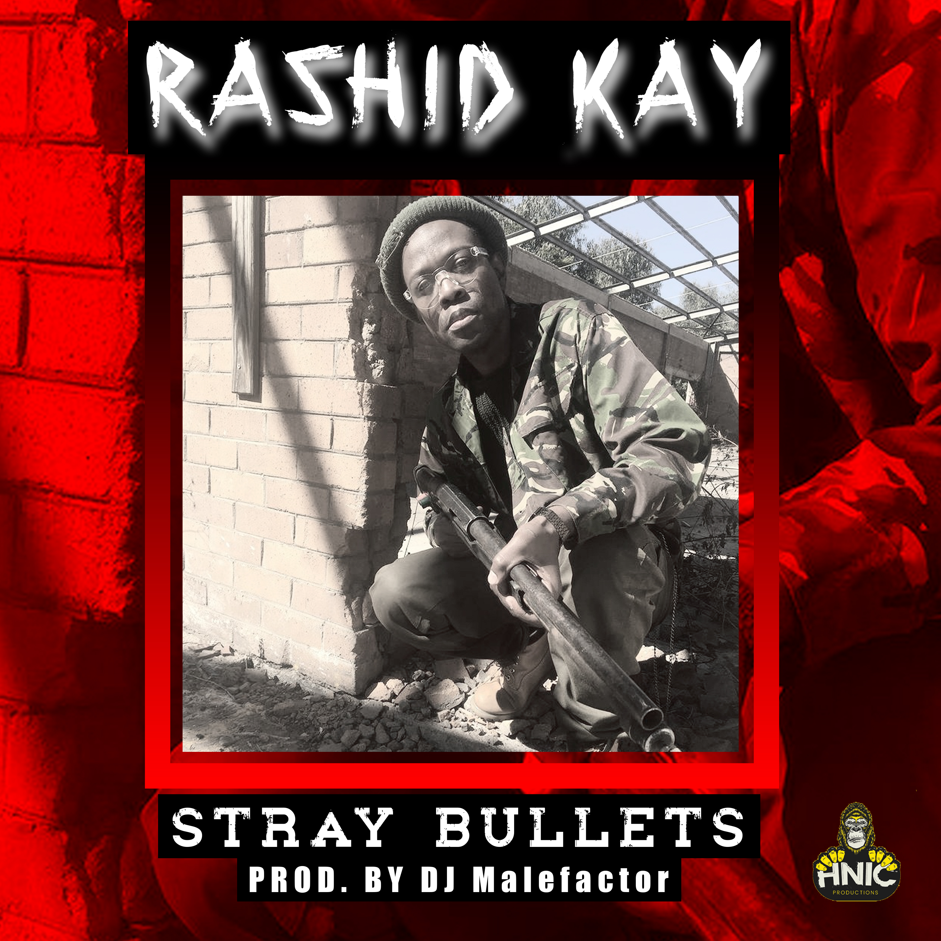 Stray Bullets artwork