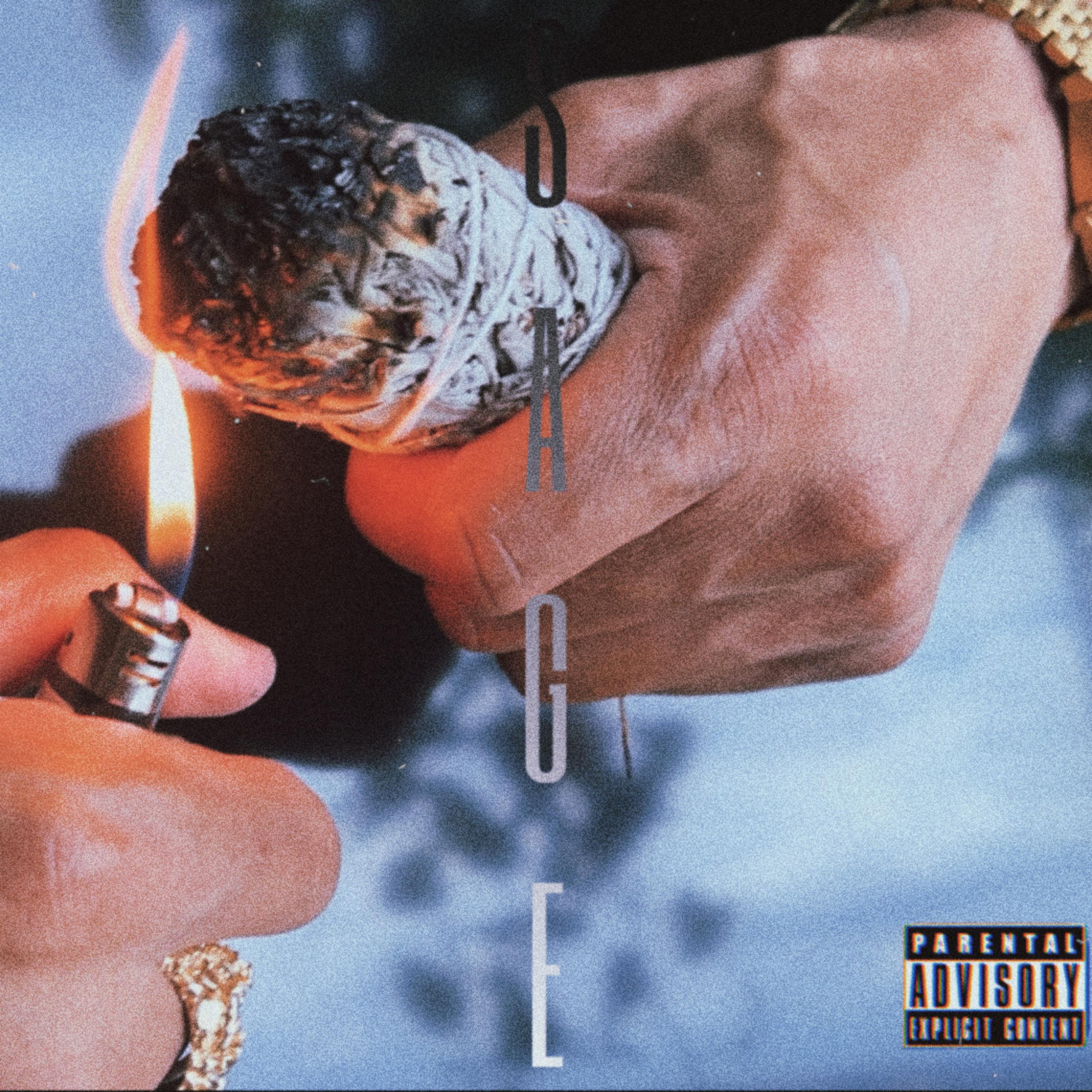 SAGE artwork