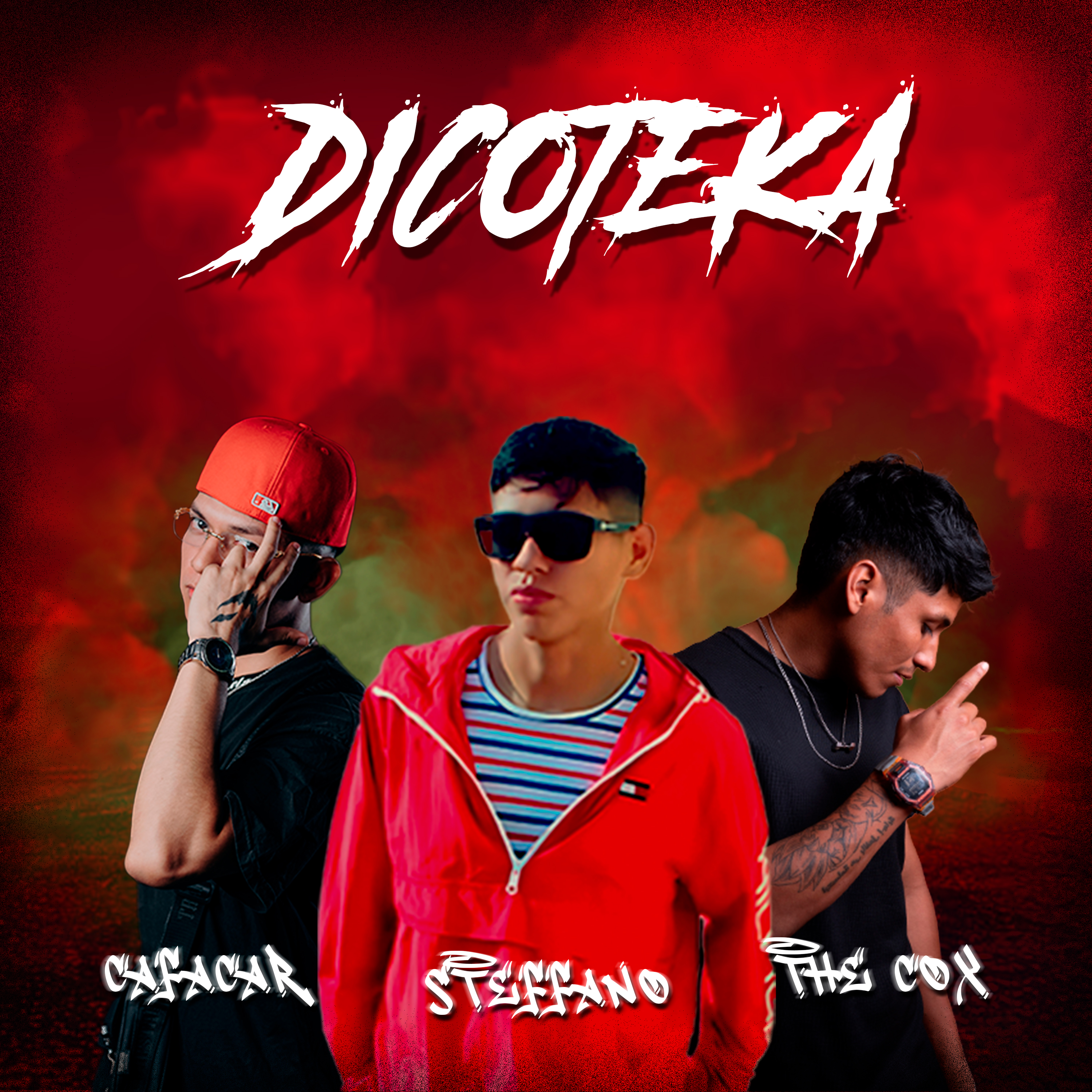 DICOTEKA artwork