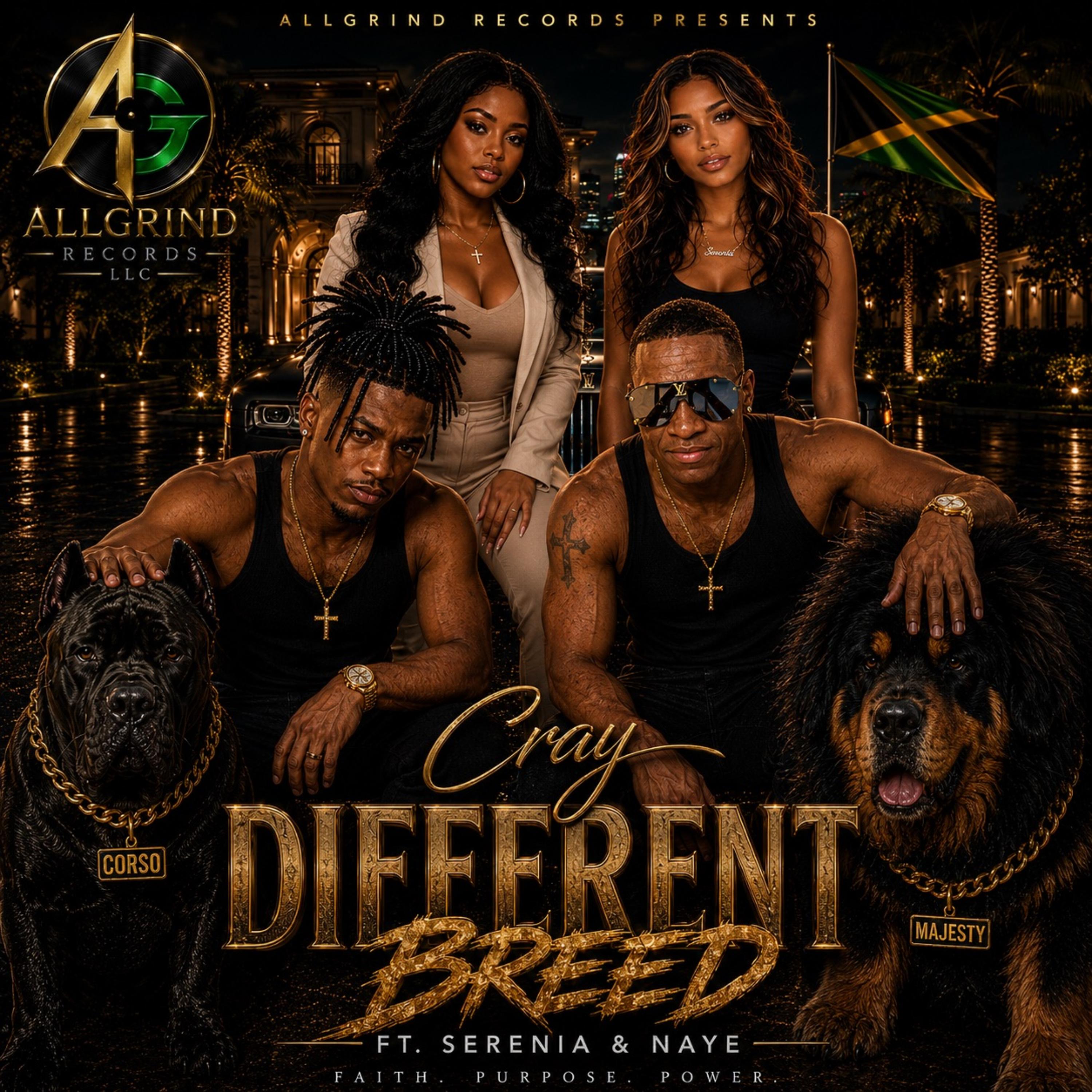 Different Breed by Allgrind cover art