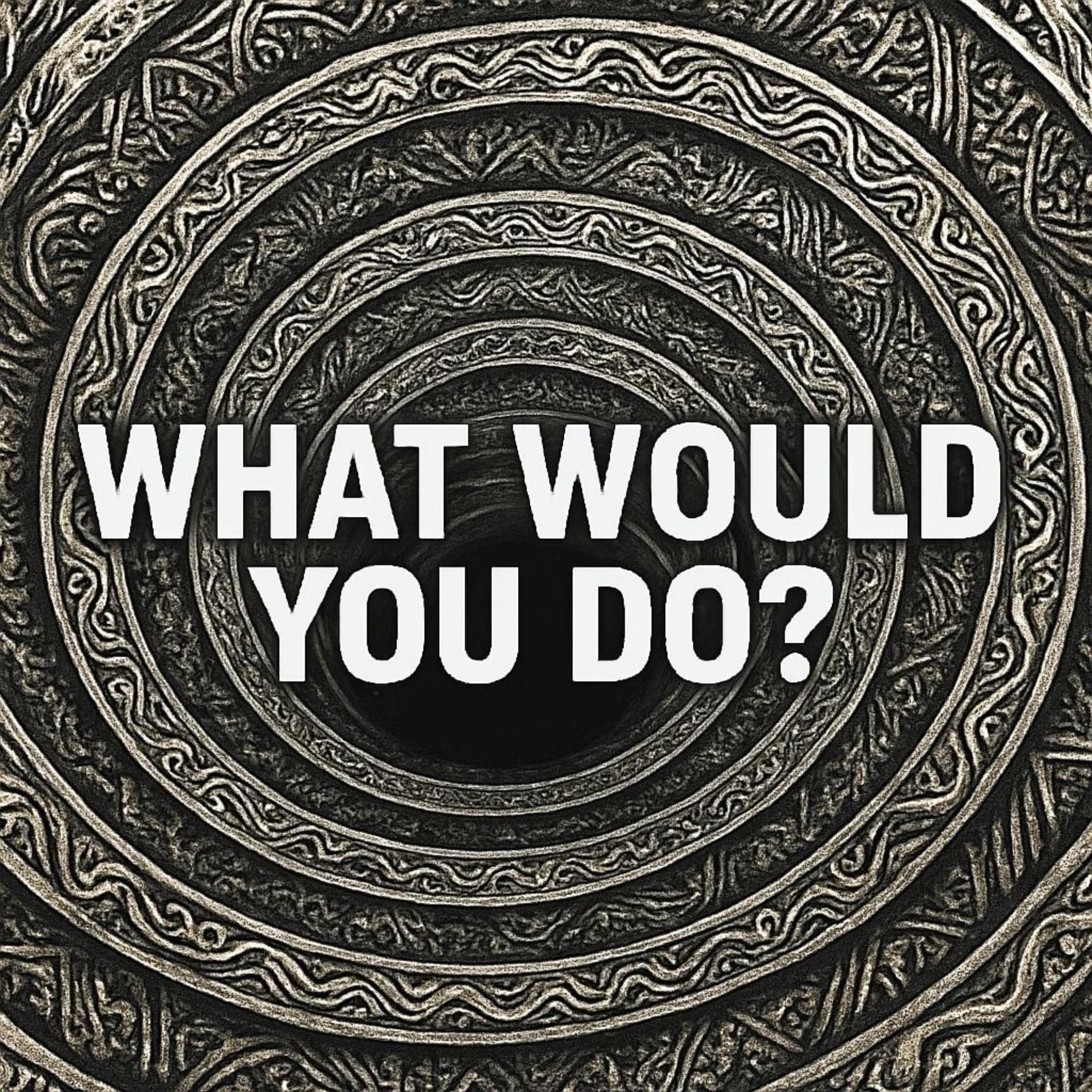 WHAT WOULD YOU DO artwork
