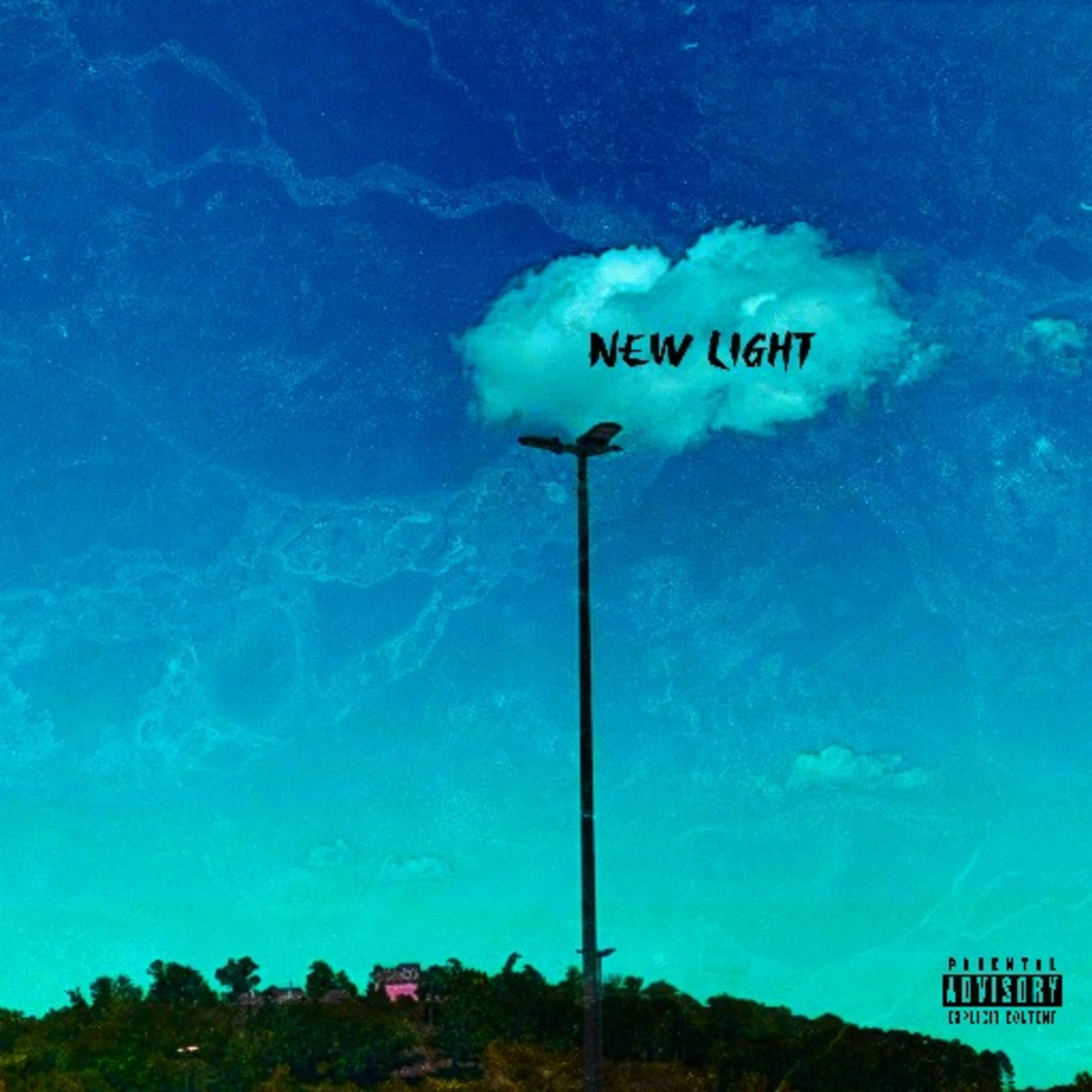 NEW LIGHT artwork