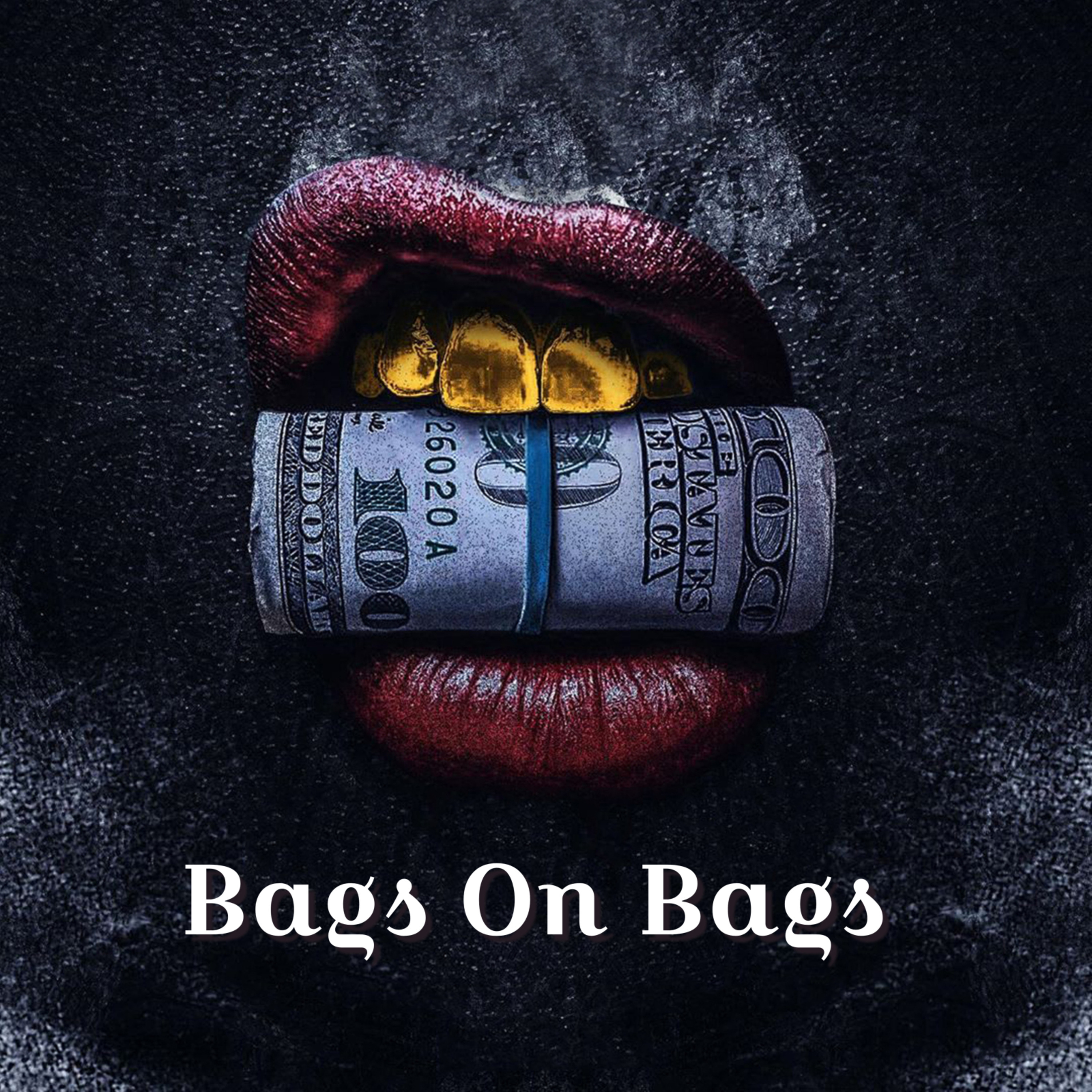 Bags On Bags by Anweezy cover art