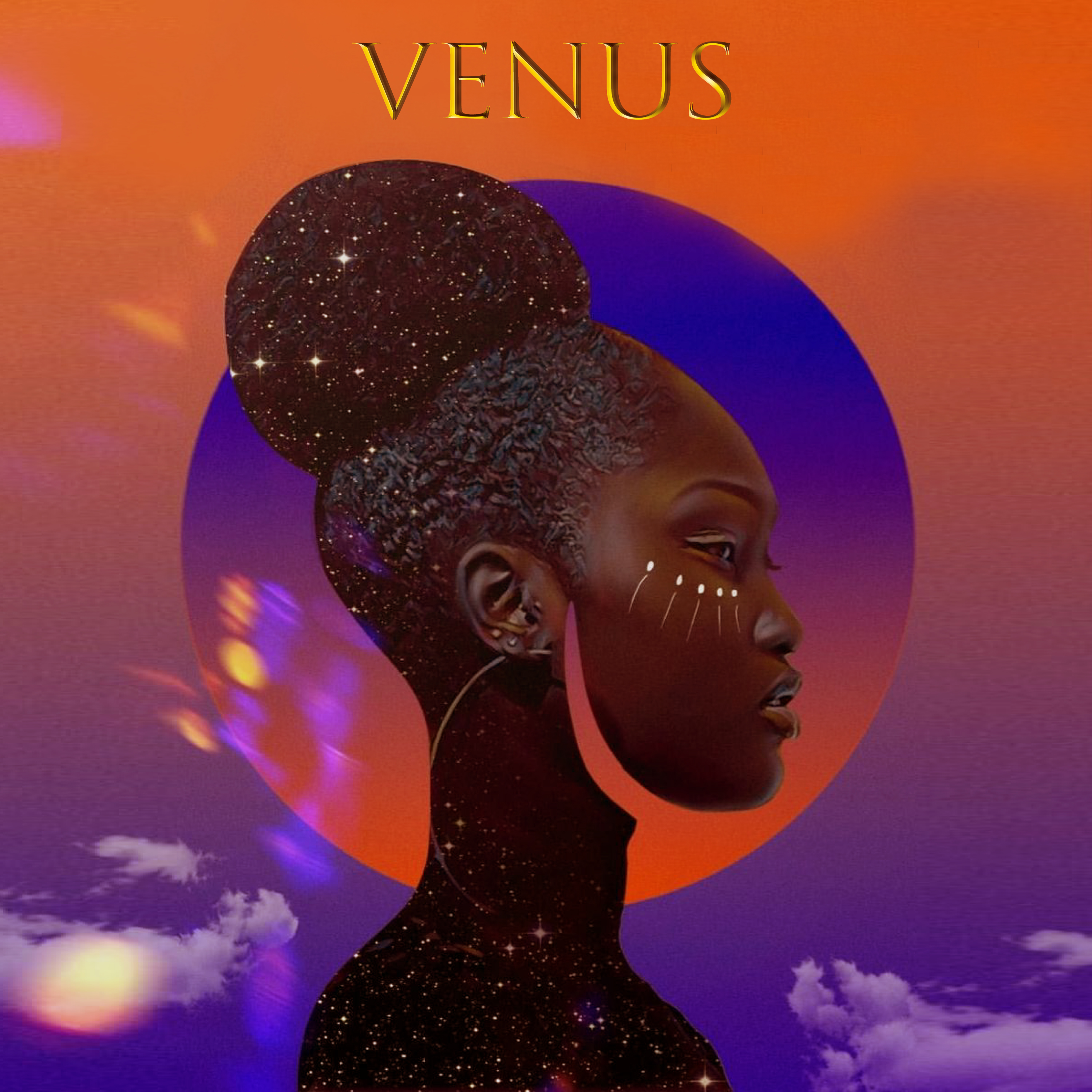 Venus artwork