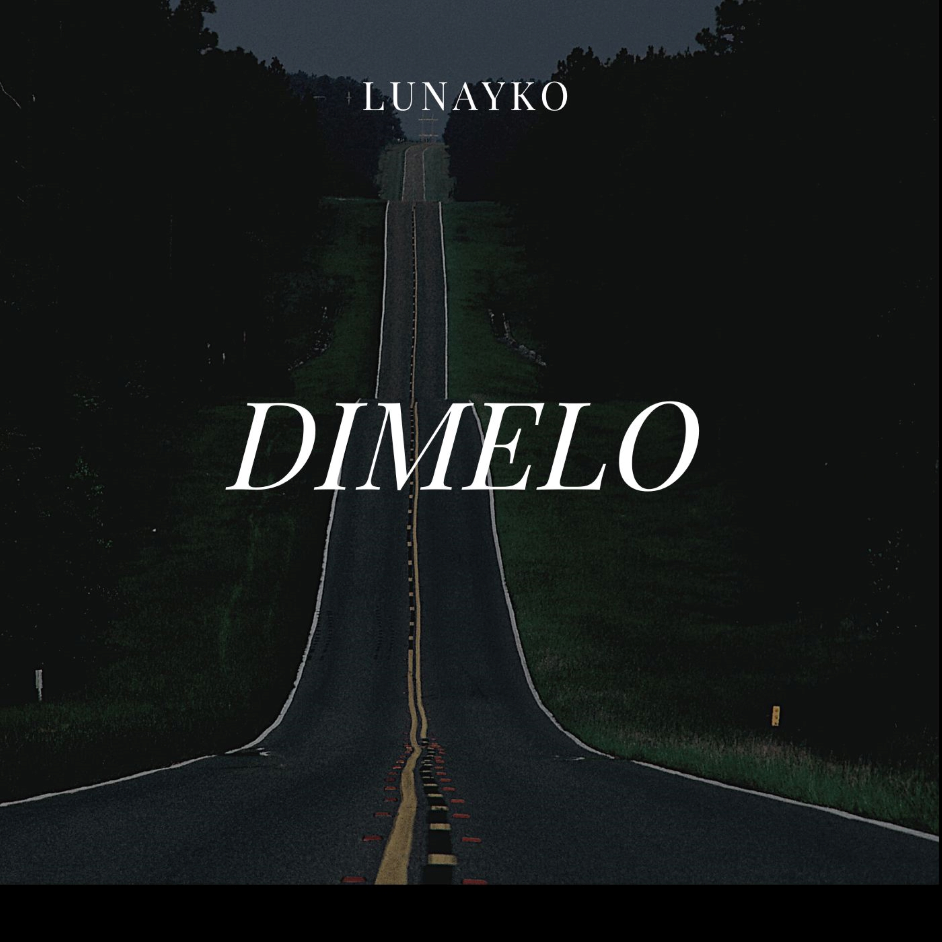 Dimelo artwork