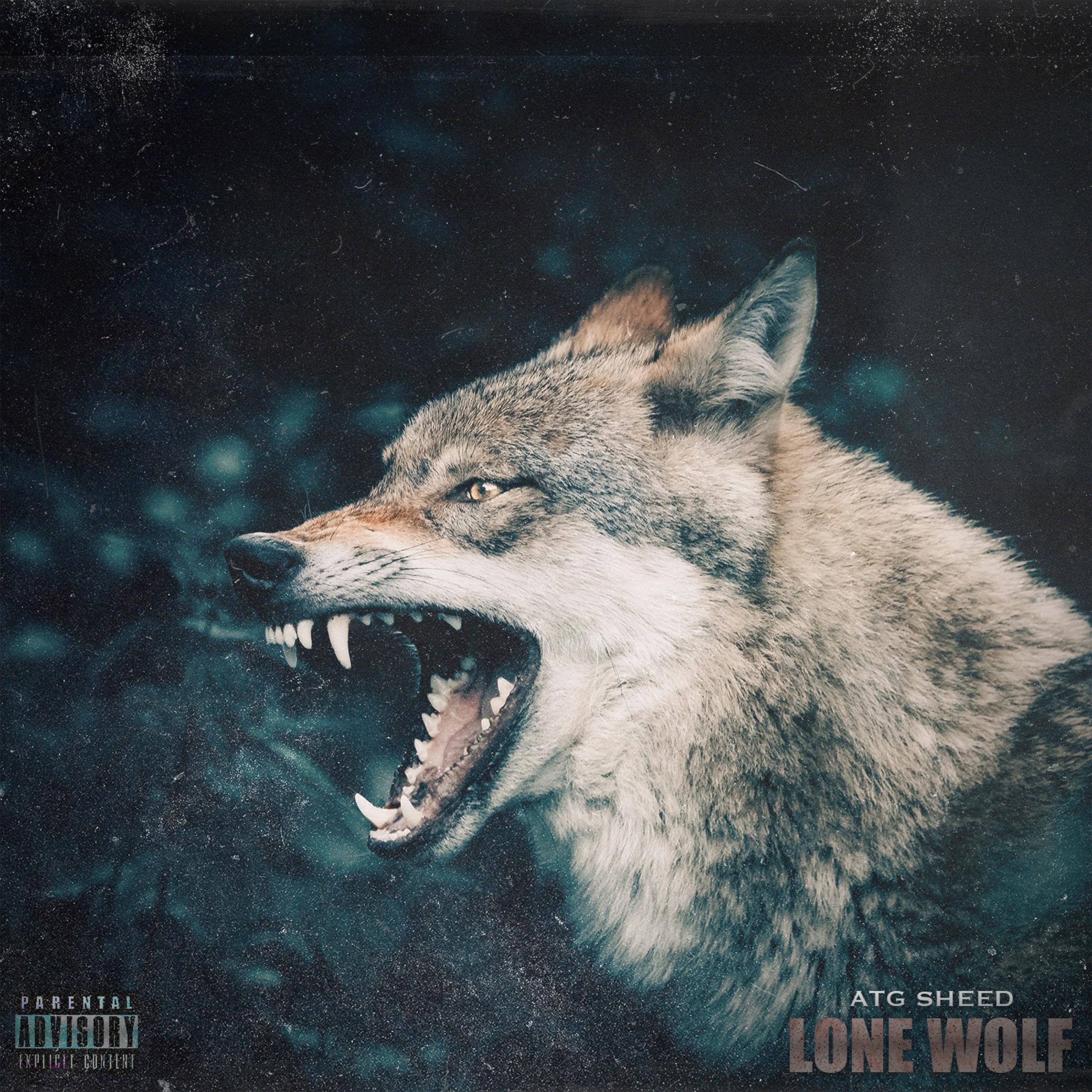 Lone Wolf artwork