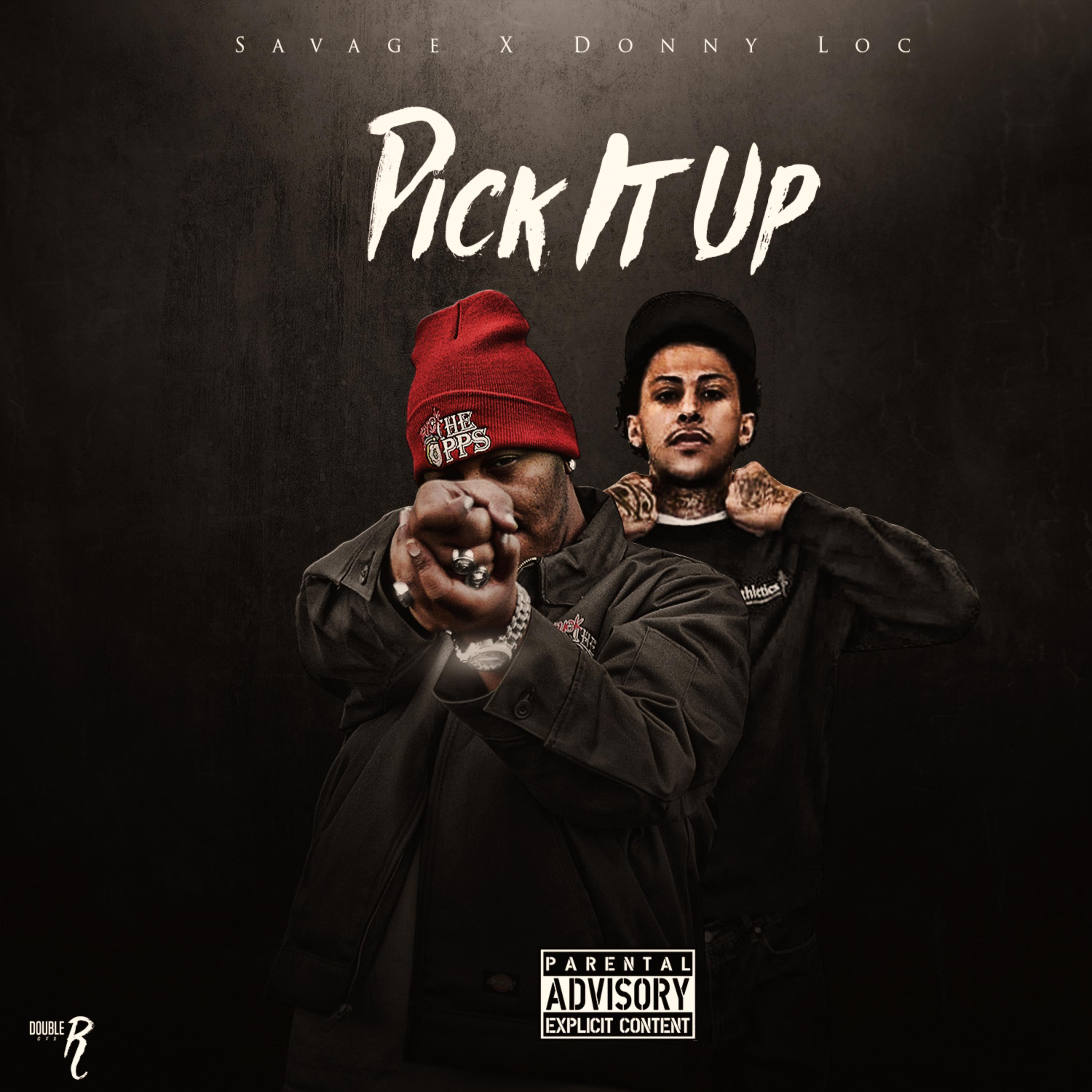 Pick It Up by SavageDoDamage cover art
