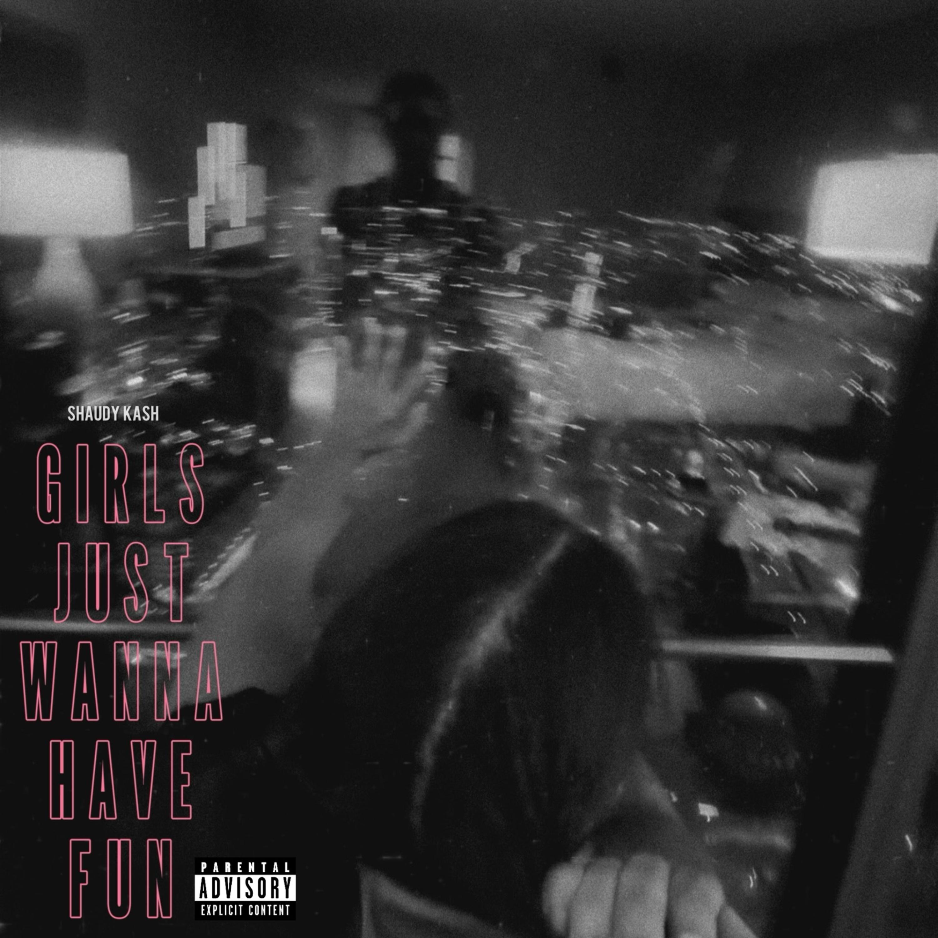 Girls Just Wanna Have Fun artwork