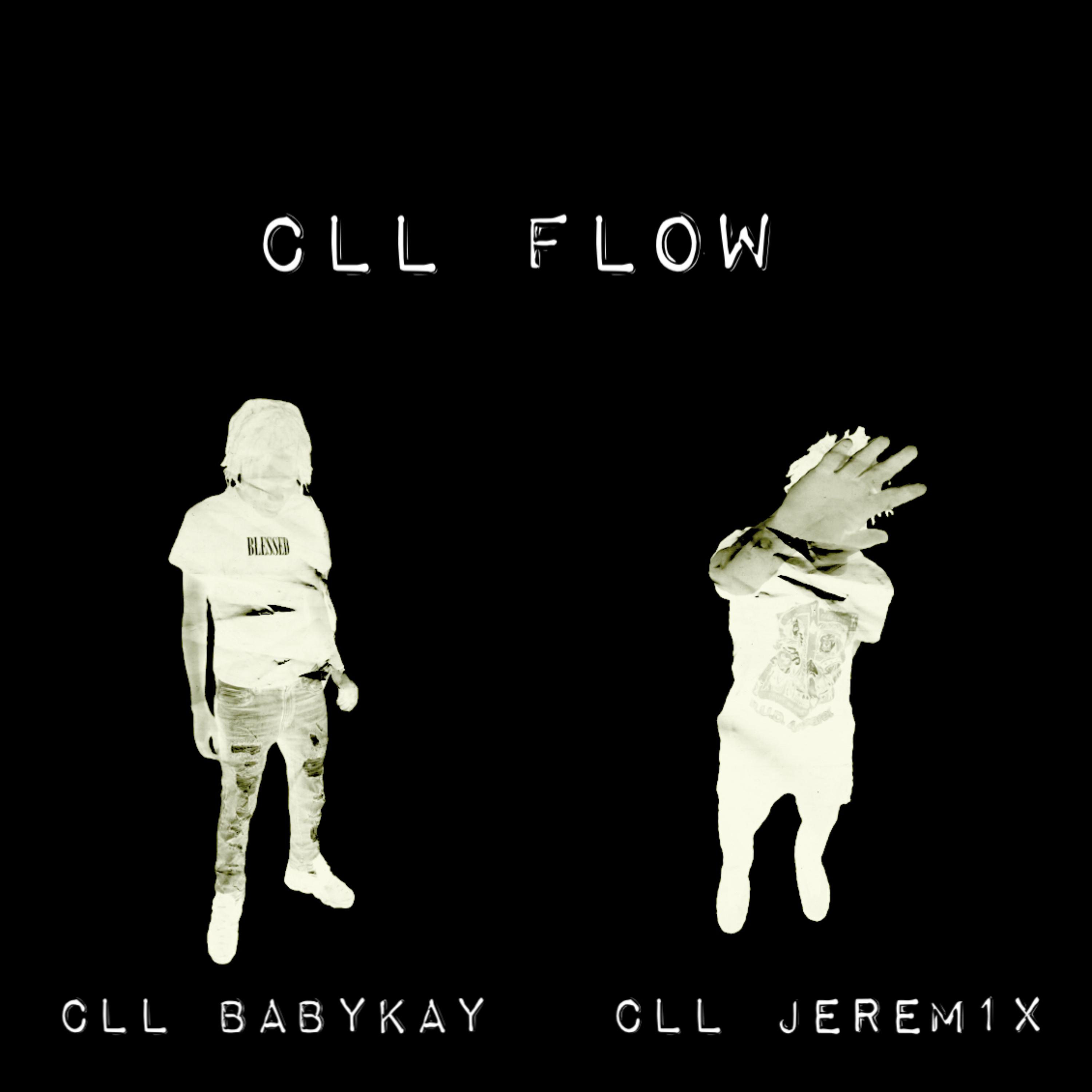 CLL Flow artwork