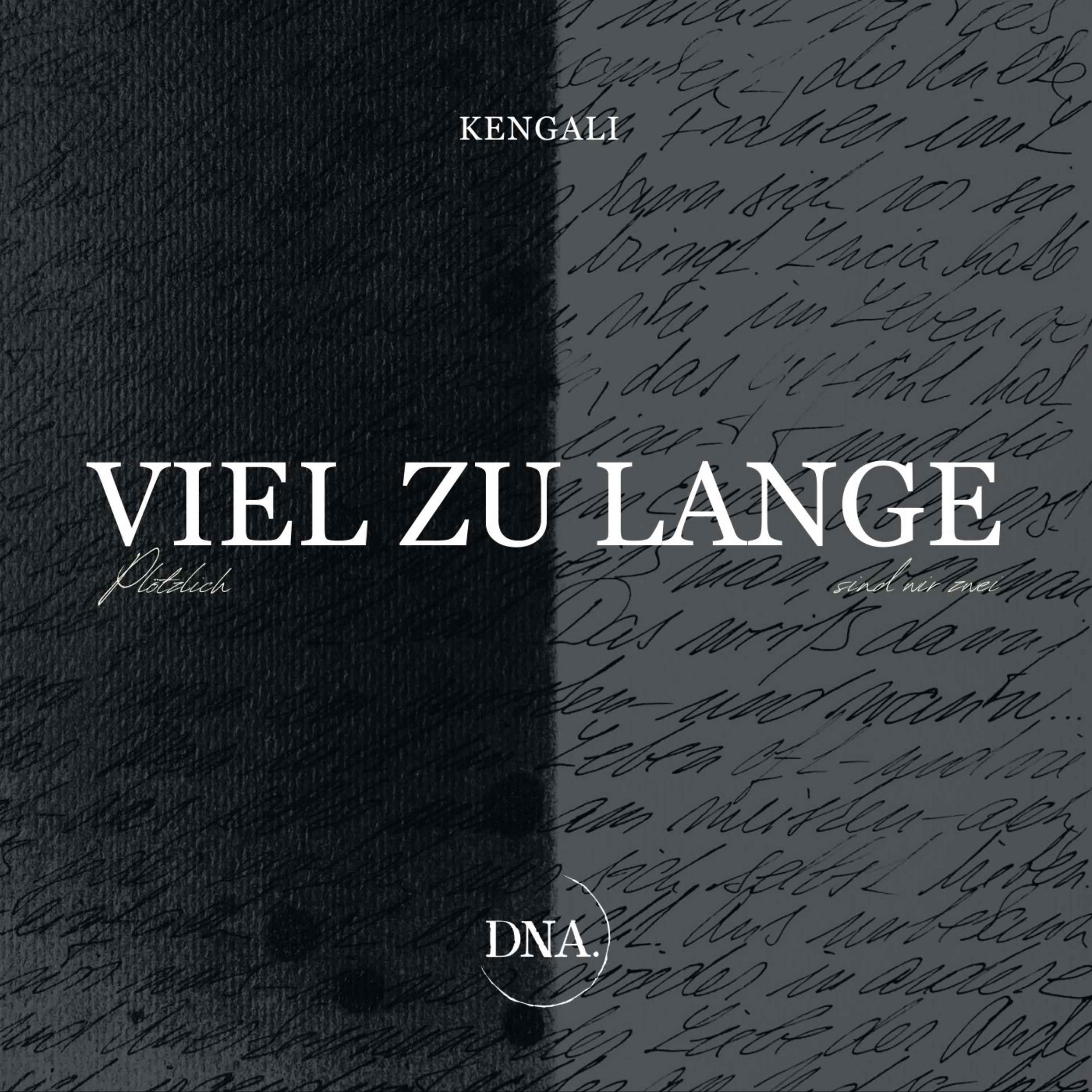 Viel zu Lange artwork