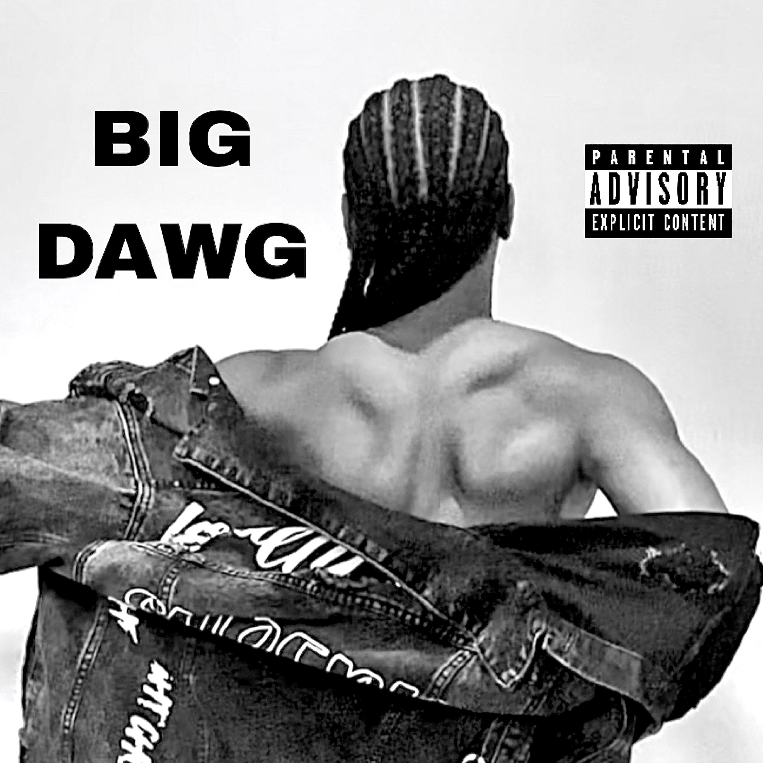 BIG DAWG artwork