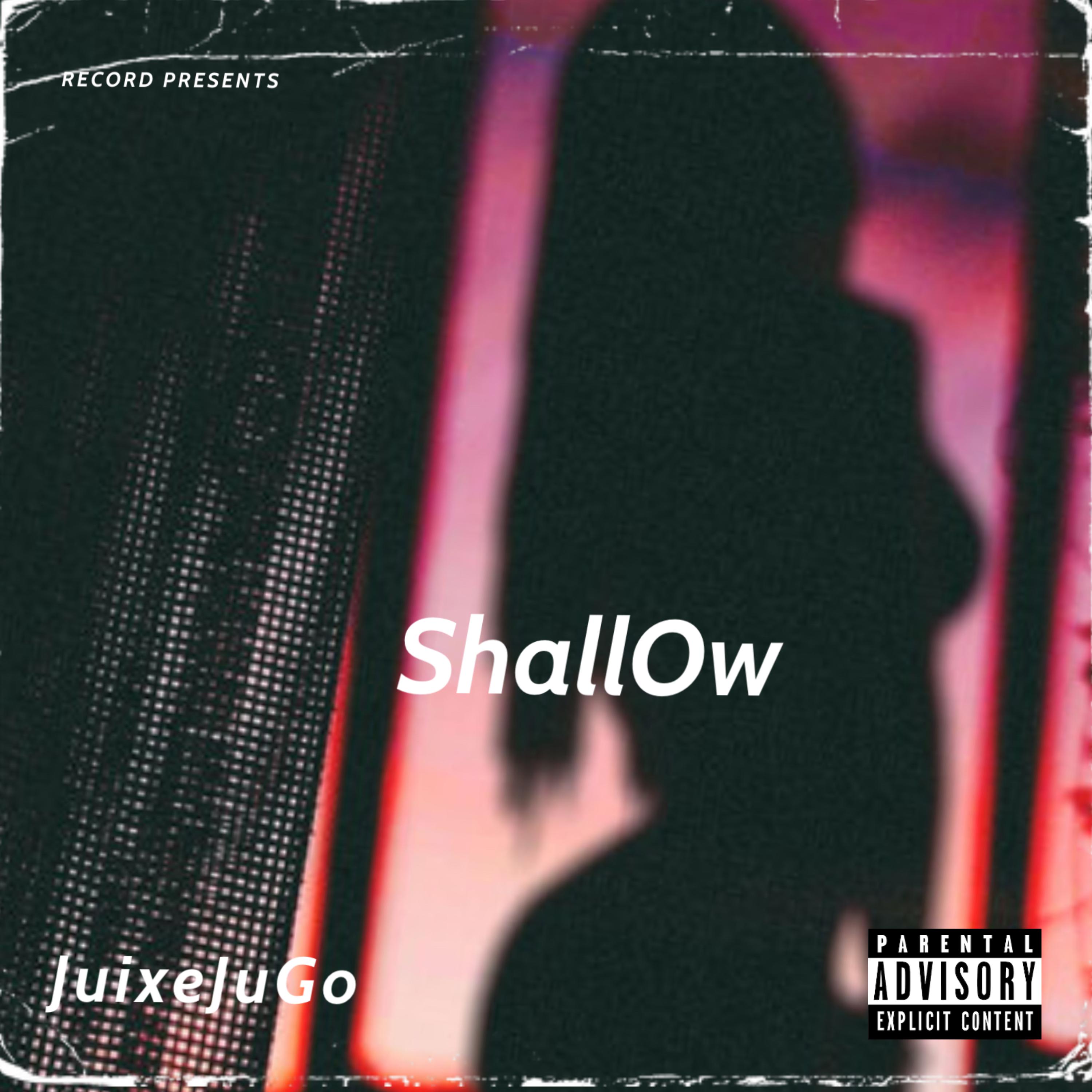 ShalLow artwork