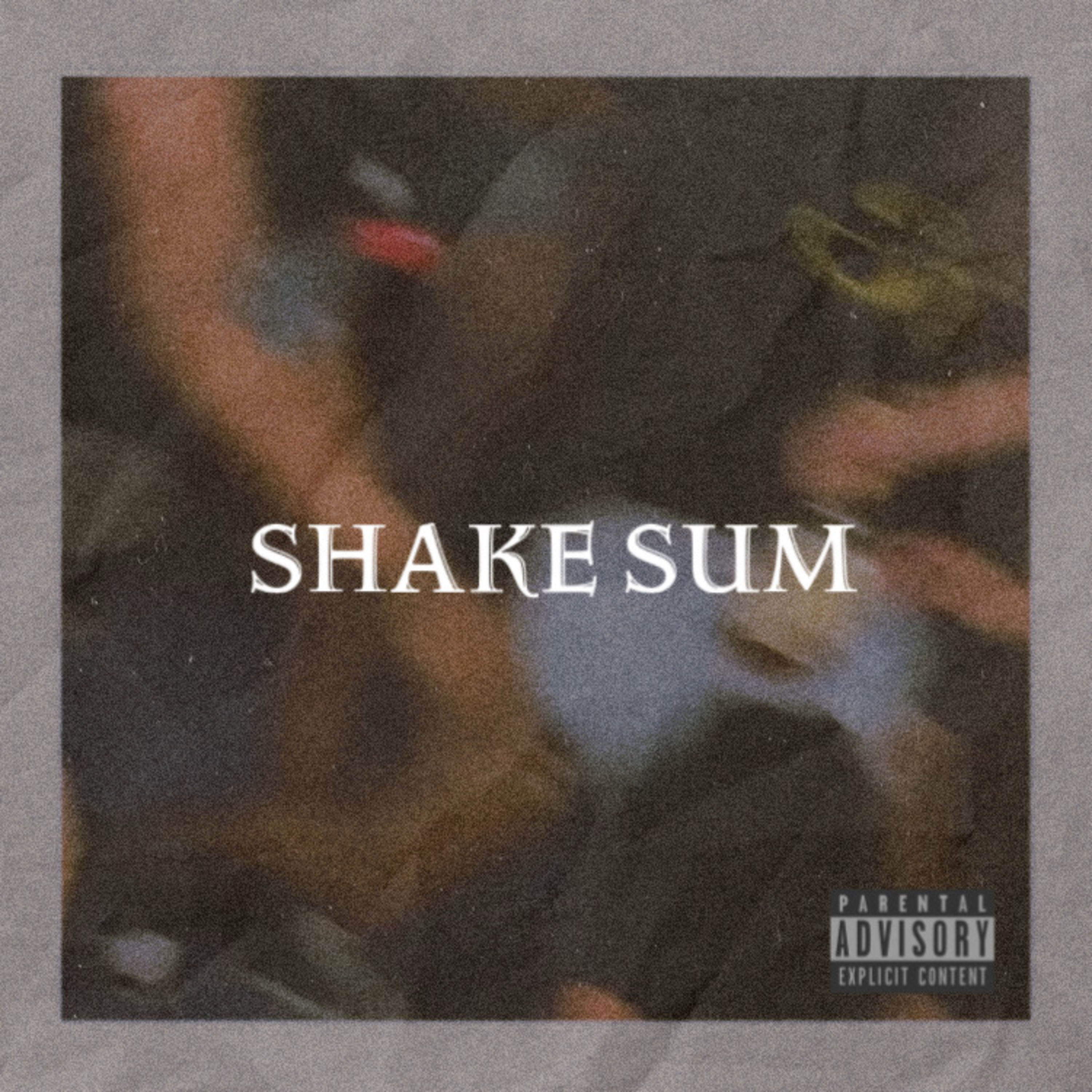 Shake Sum artwork