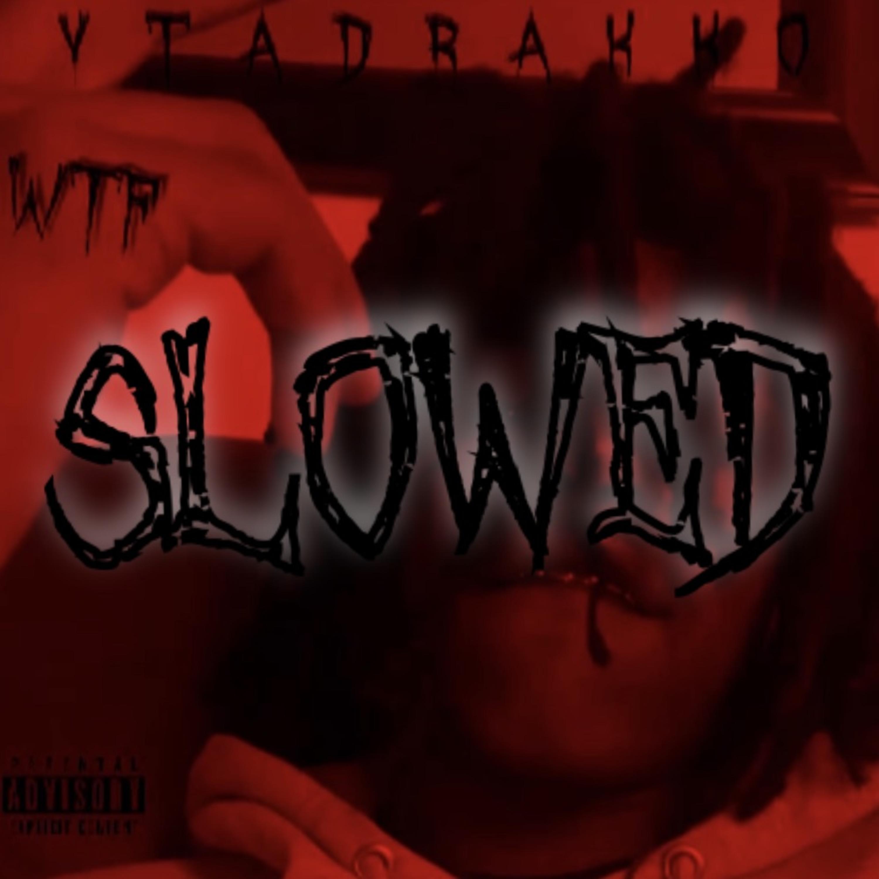 WTF Freestyle (sLoWeD) artwork