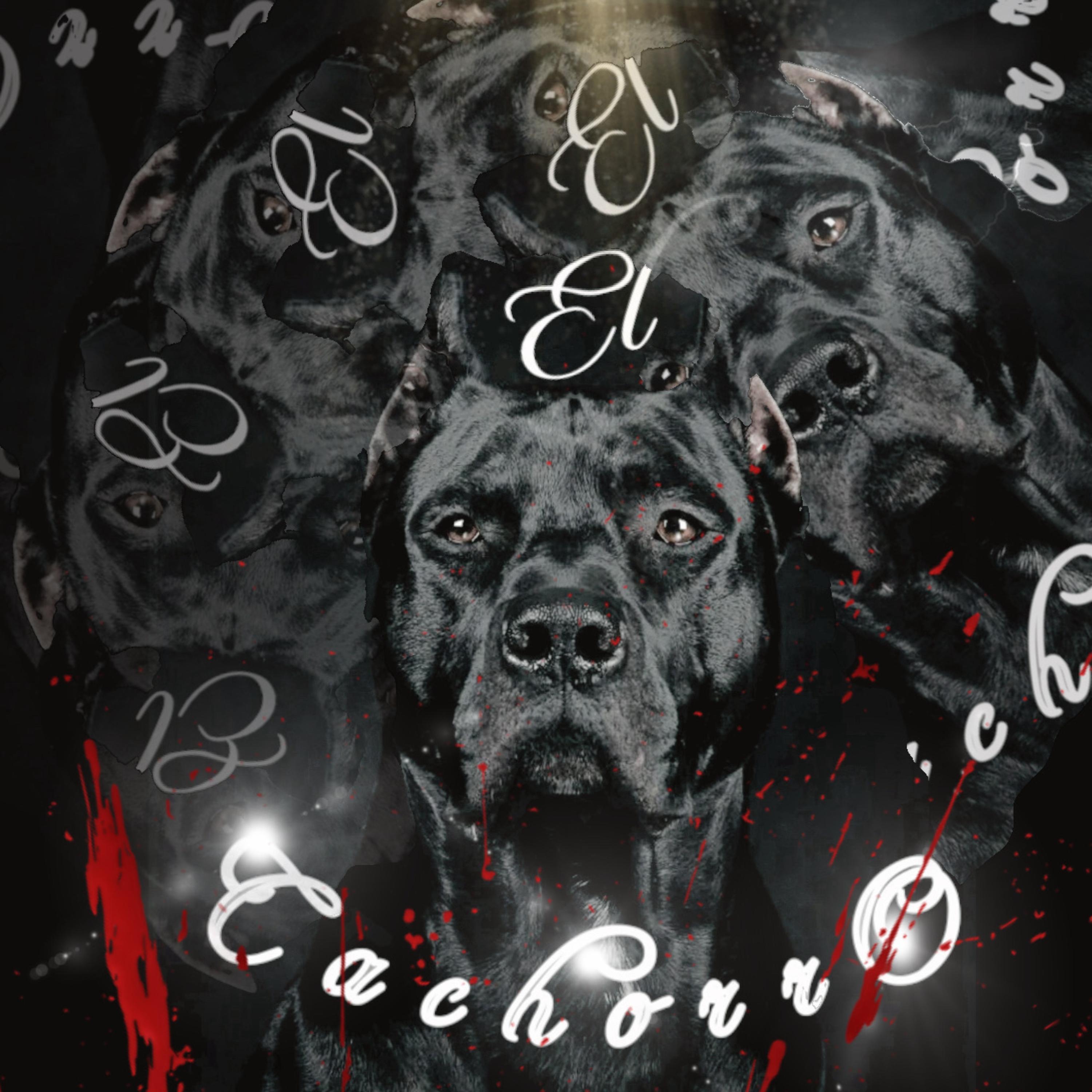 El Cachorro artwork