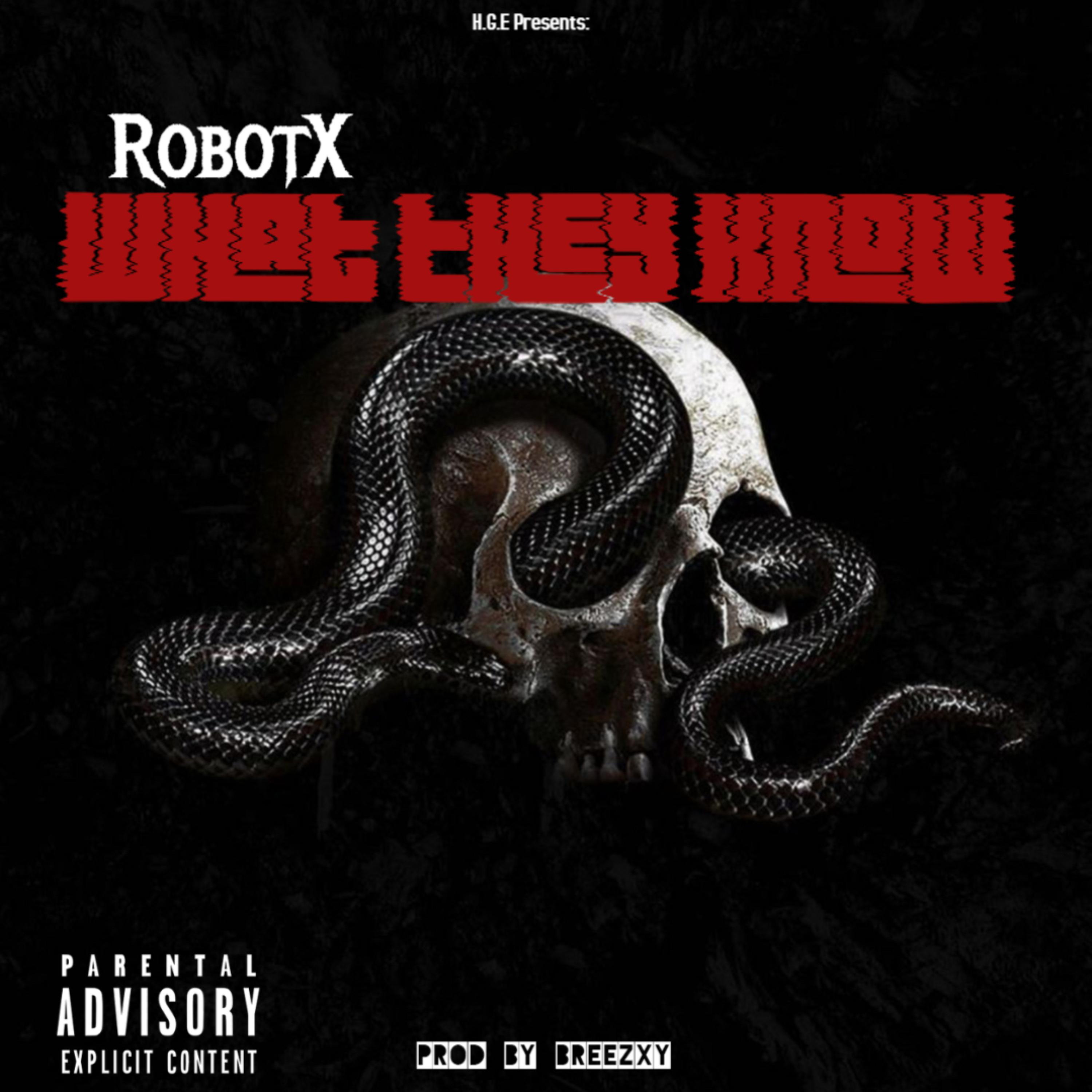 What They know artwork