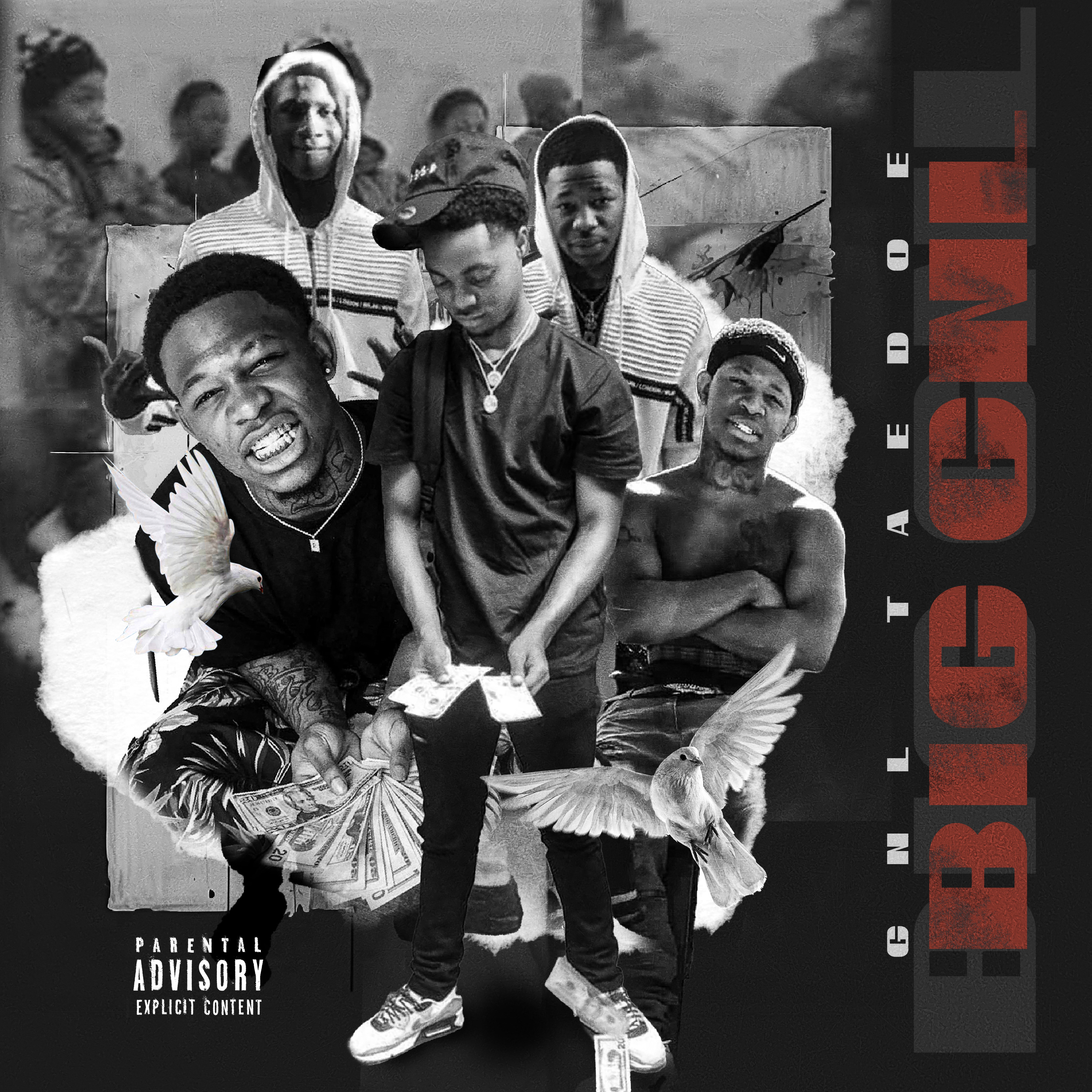 BIG G.N.L by Gnl TaeDoe cover art