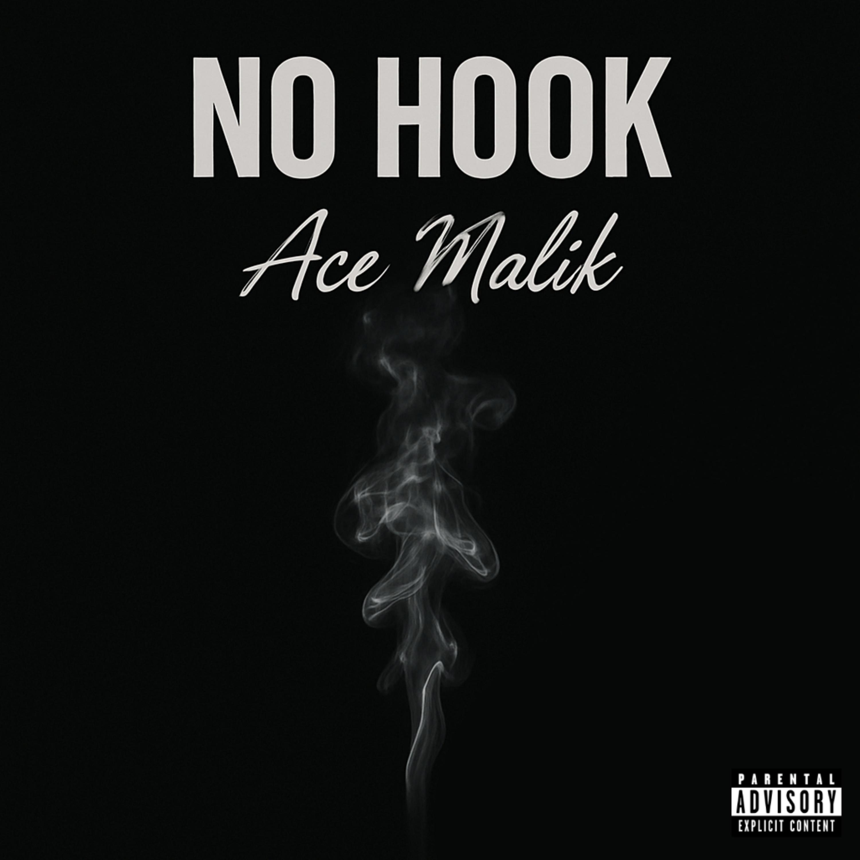 No Hook (SITA) by Ace Malik cover art