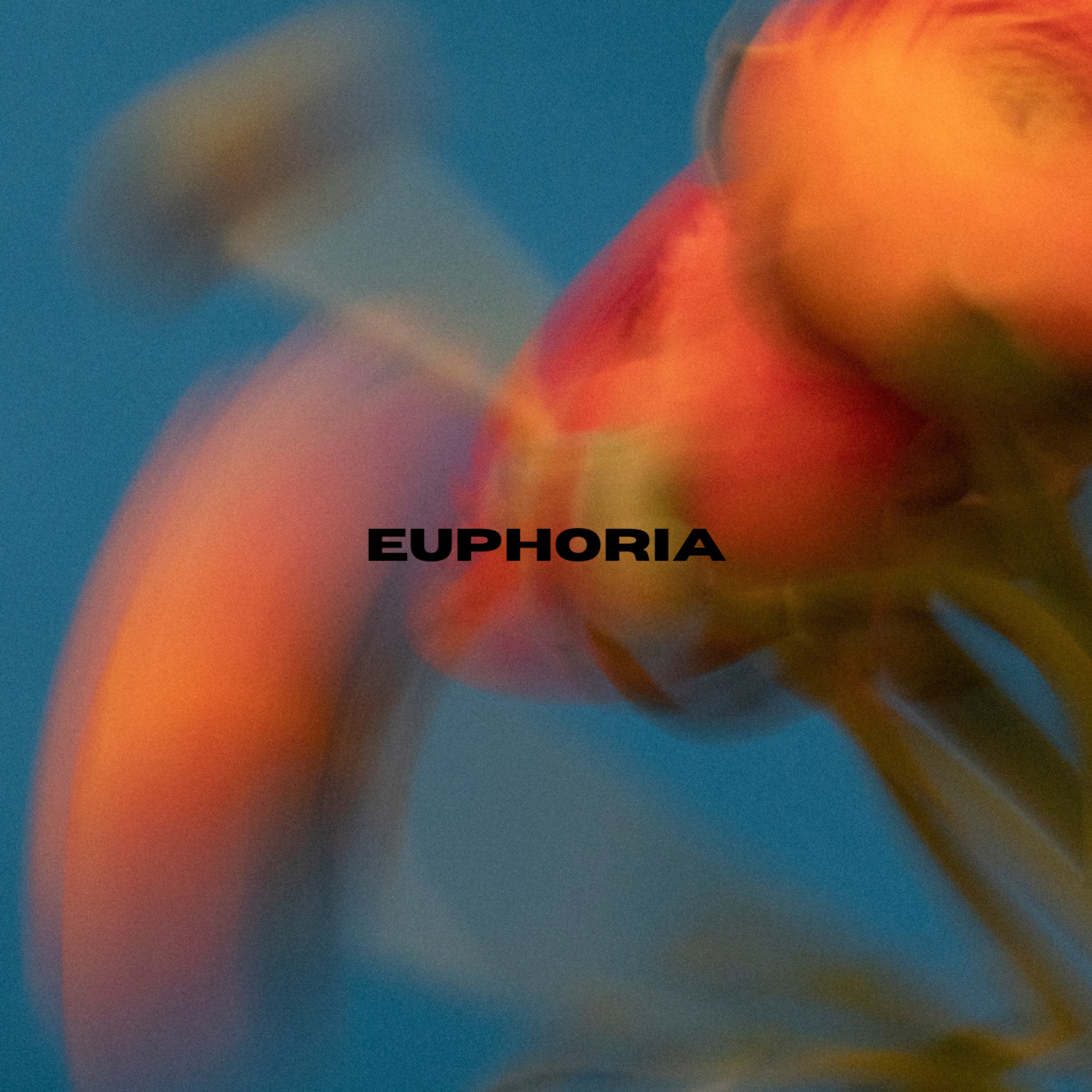 Euphoria artwork