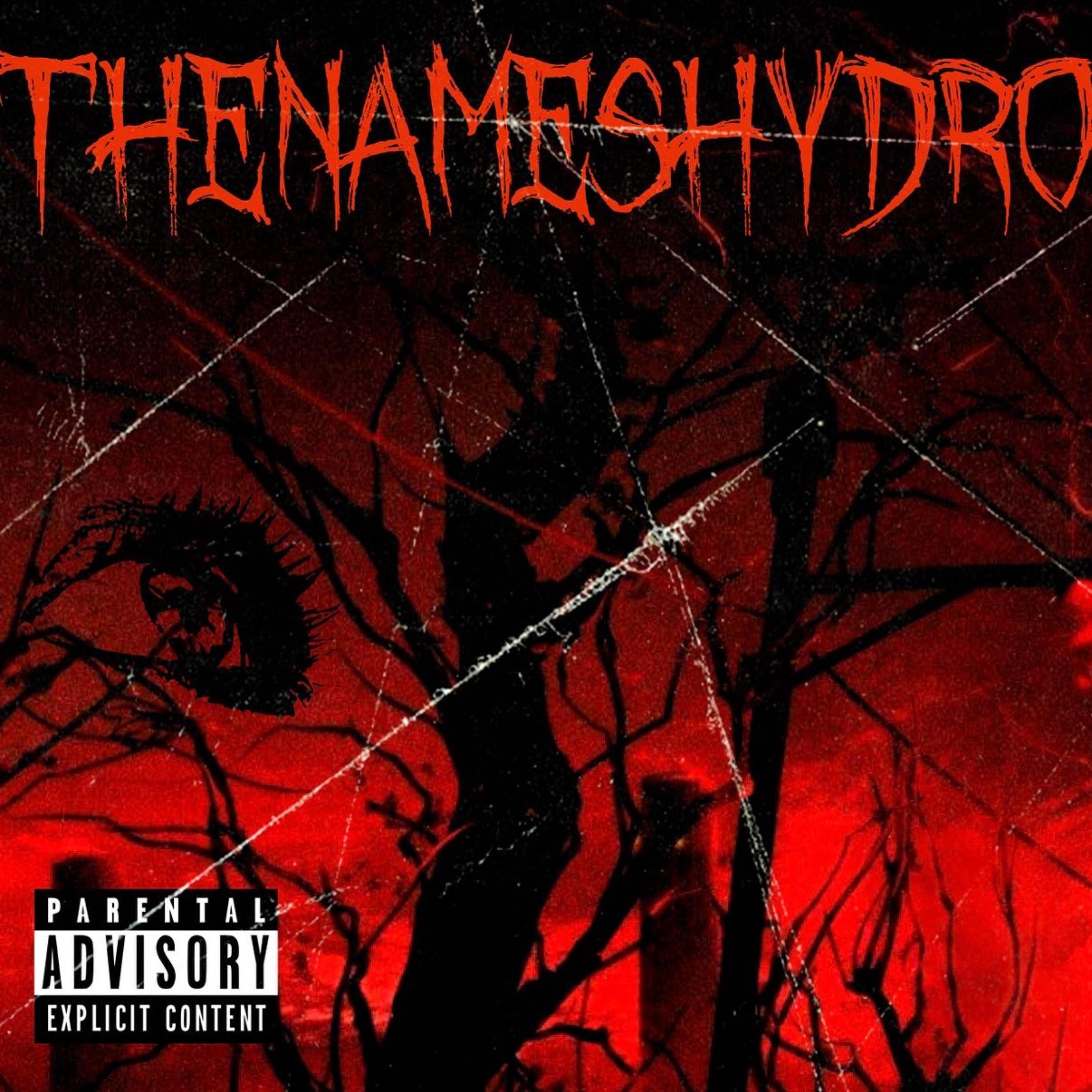 Pickin Pockets by Thenameshydro cover art